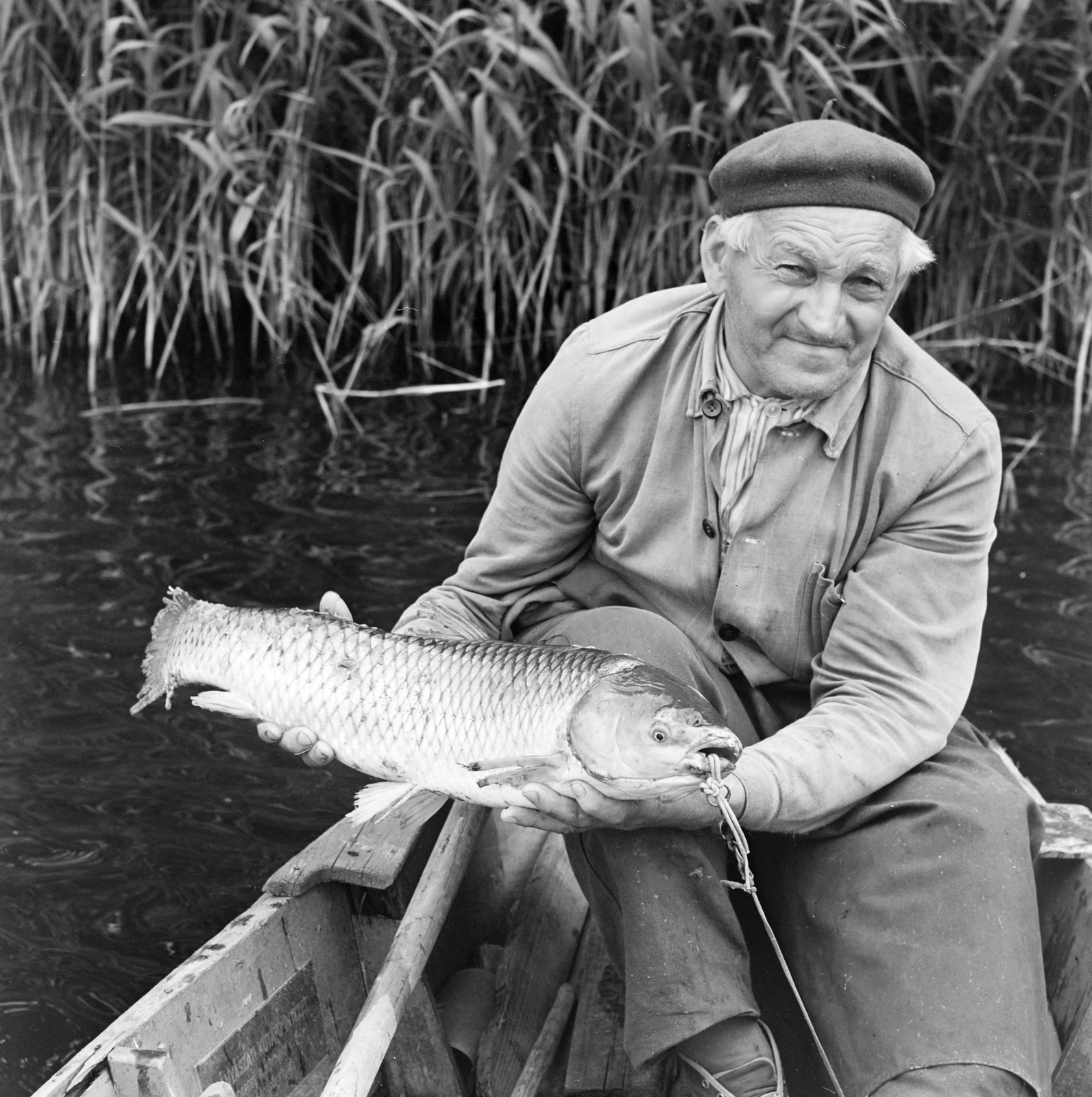 1970, Gárdos Katalin, fish, fishing, Fortepan #268176