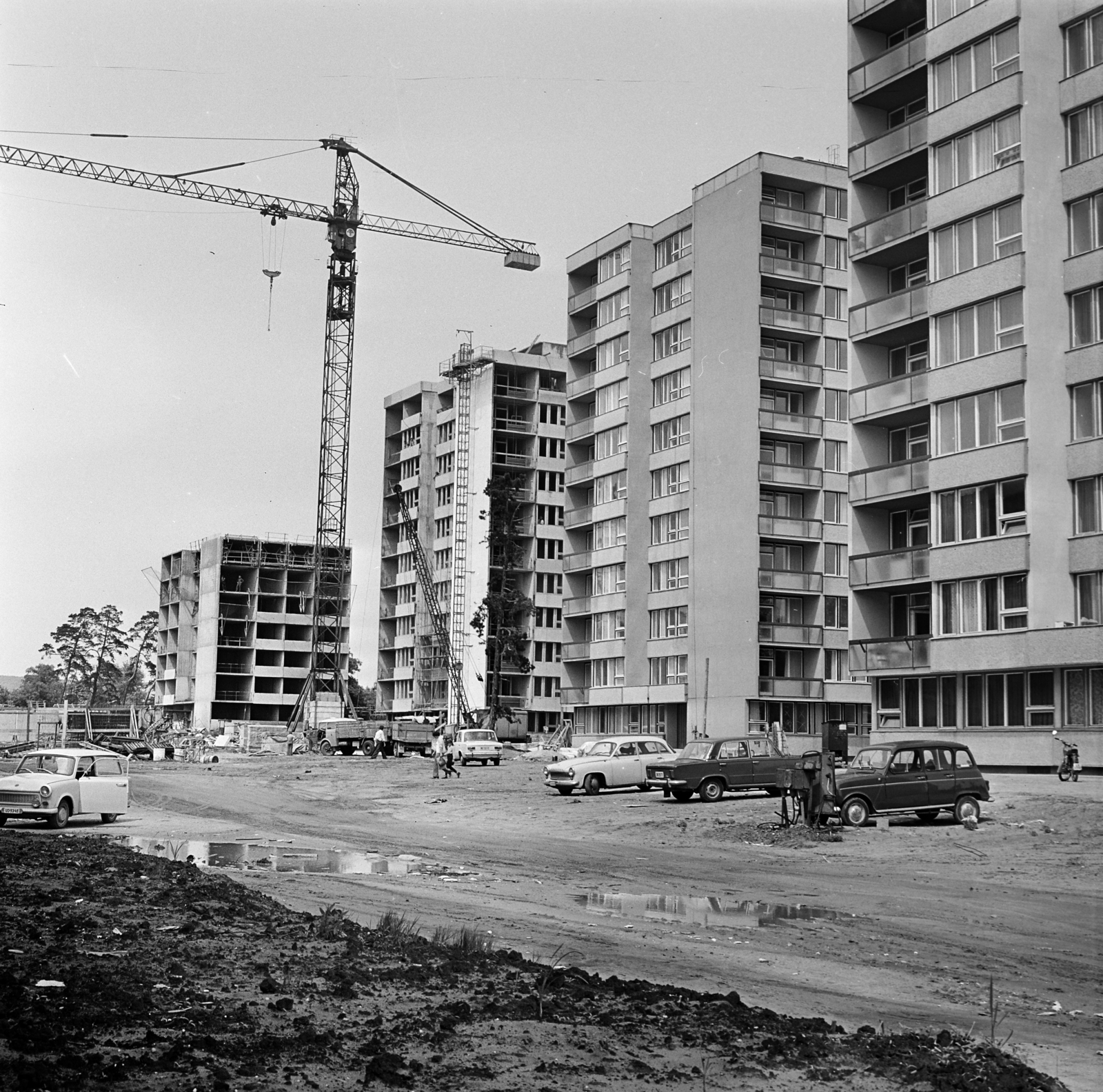 Magyarország, Gödöllő, Palotakert (Stromfeld Aurél) lakótelep., 1975, Gárdos Katalin, Fortepan #268203