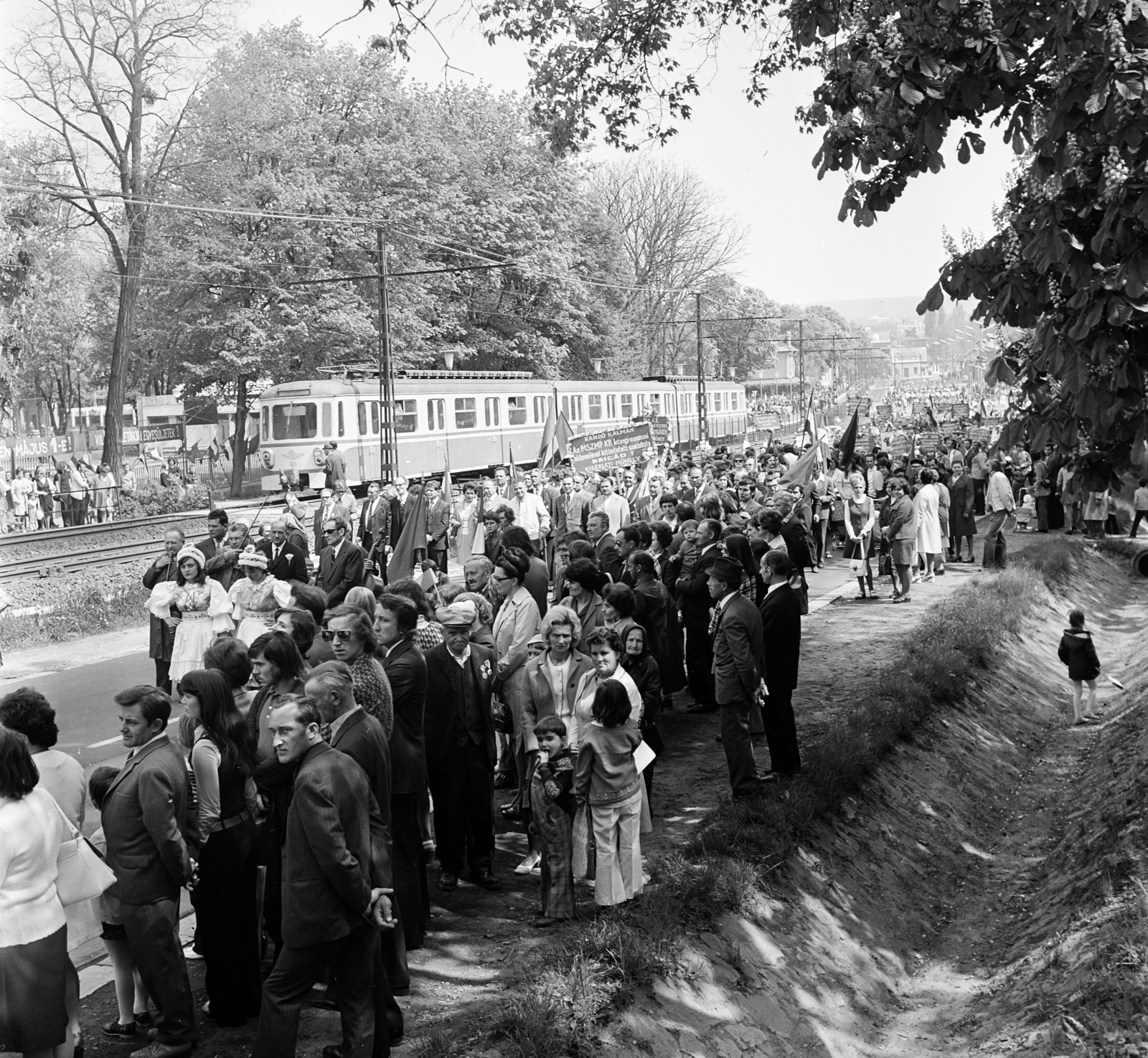 Hungary, Gödöllő, Szabadság út, az Agrártudományi Egyetem vietnámi hallgatói a május 1-i felvonuláson., 1971, Gárdos Katalin, Fortepan #268233