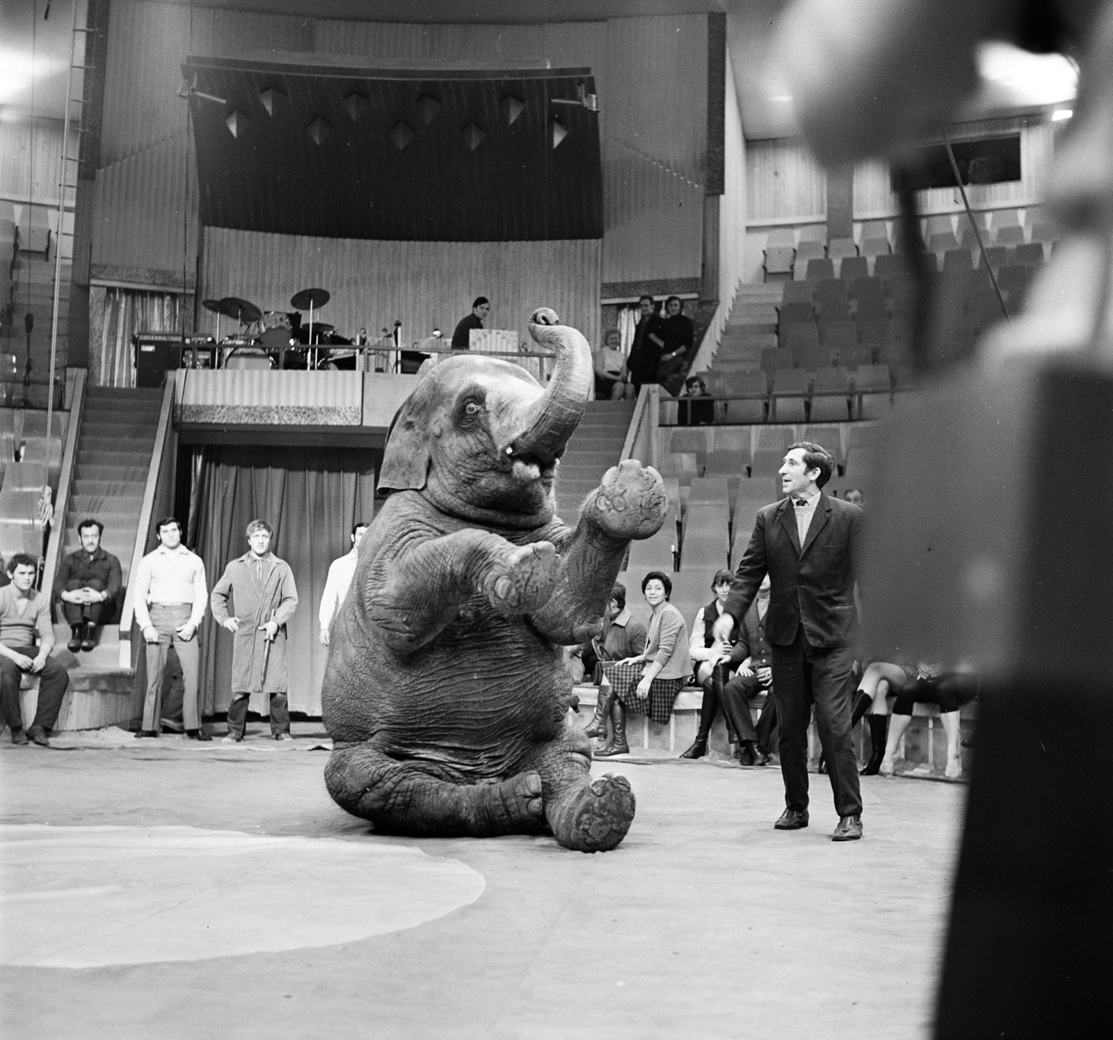 Hungary, Budapest XIV., Fővárosi Nagycirkusz., 1971, Gárdos Katalin, elephant, animal trainer, Budapest, Fortepan #268245