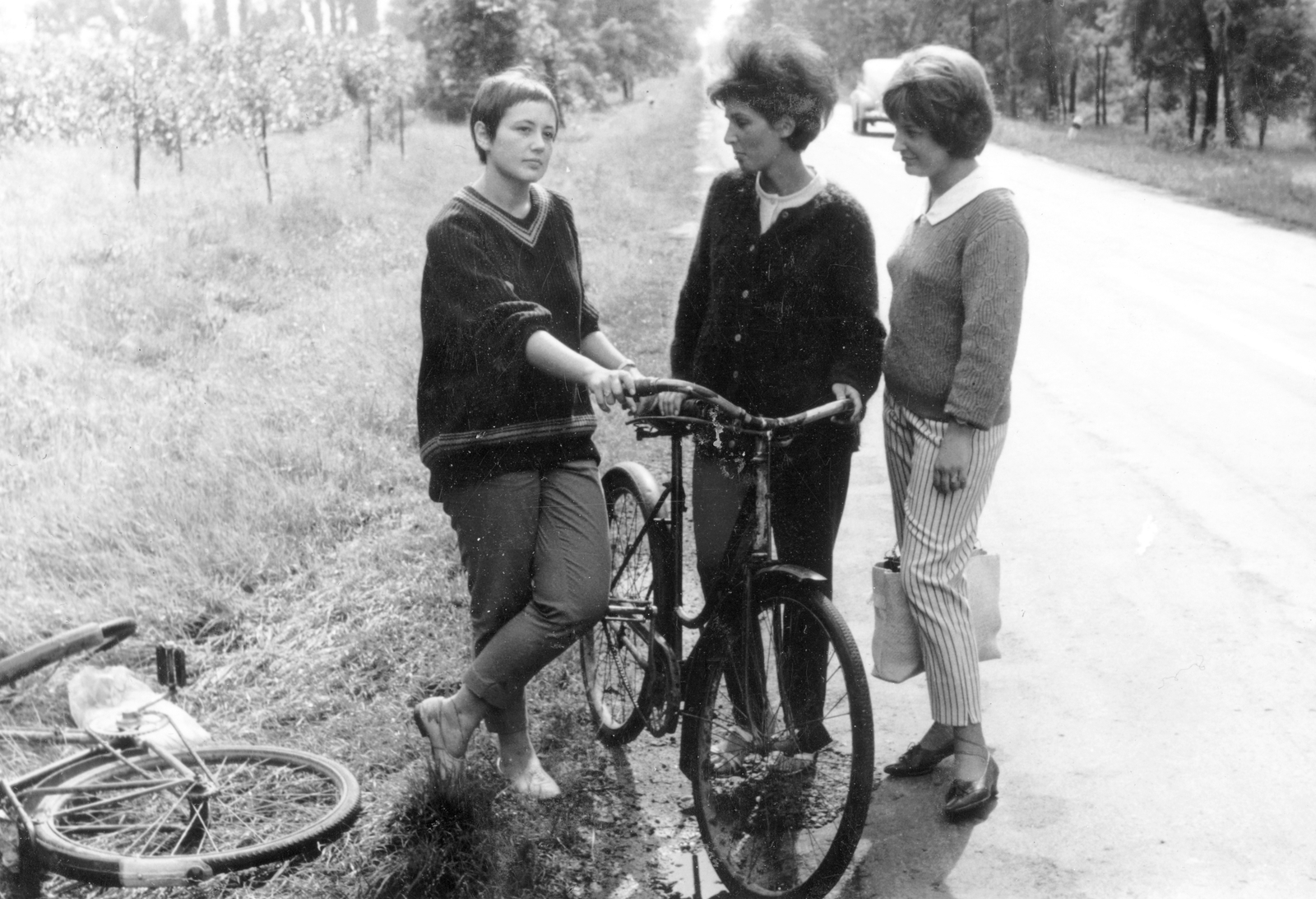 1964, Pohl Pálma, bicycle, tableau, women, Fortepan #26835