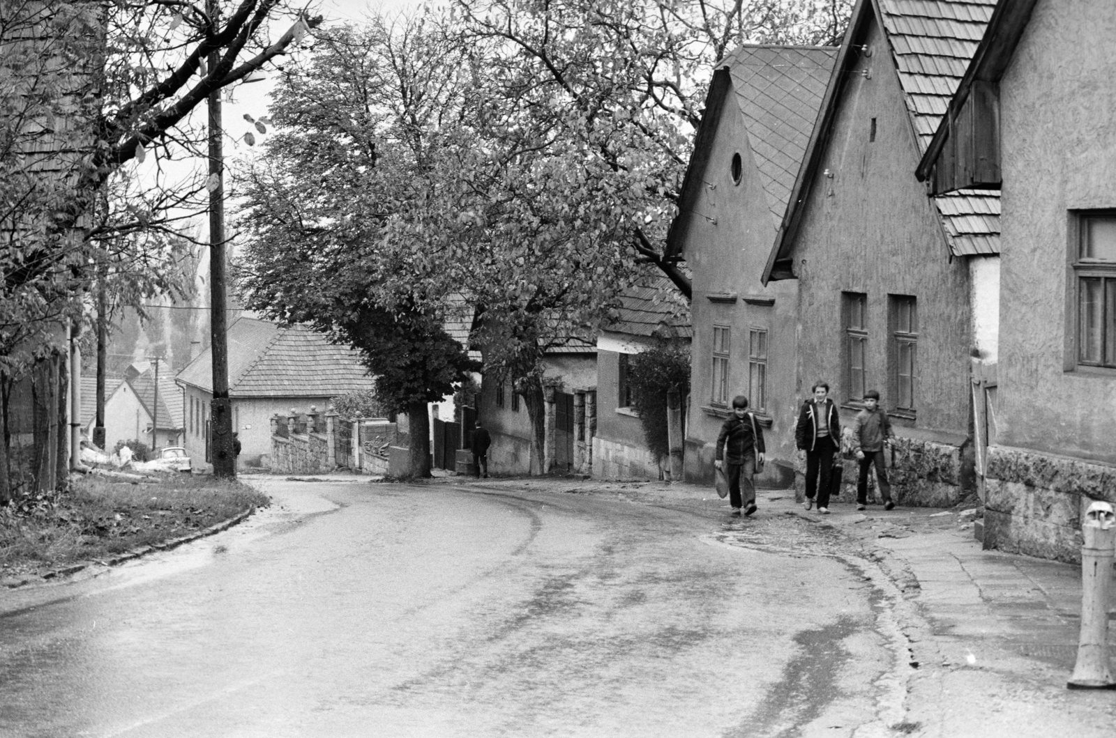 1985, Glósz András, Fortepan #268385