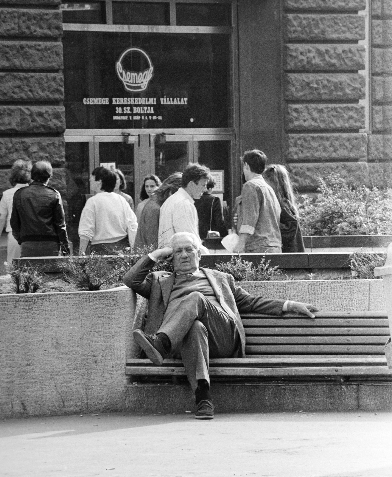 1980, Glósz András, Csemege vállalat, Fortepan #268416