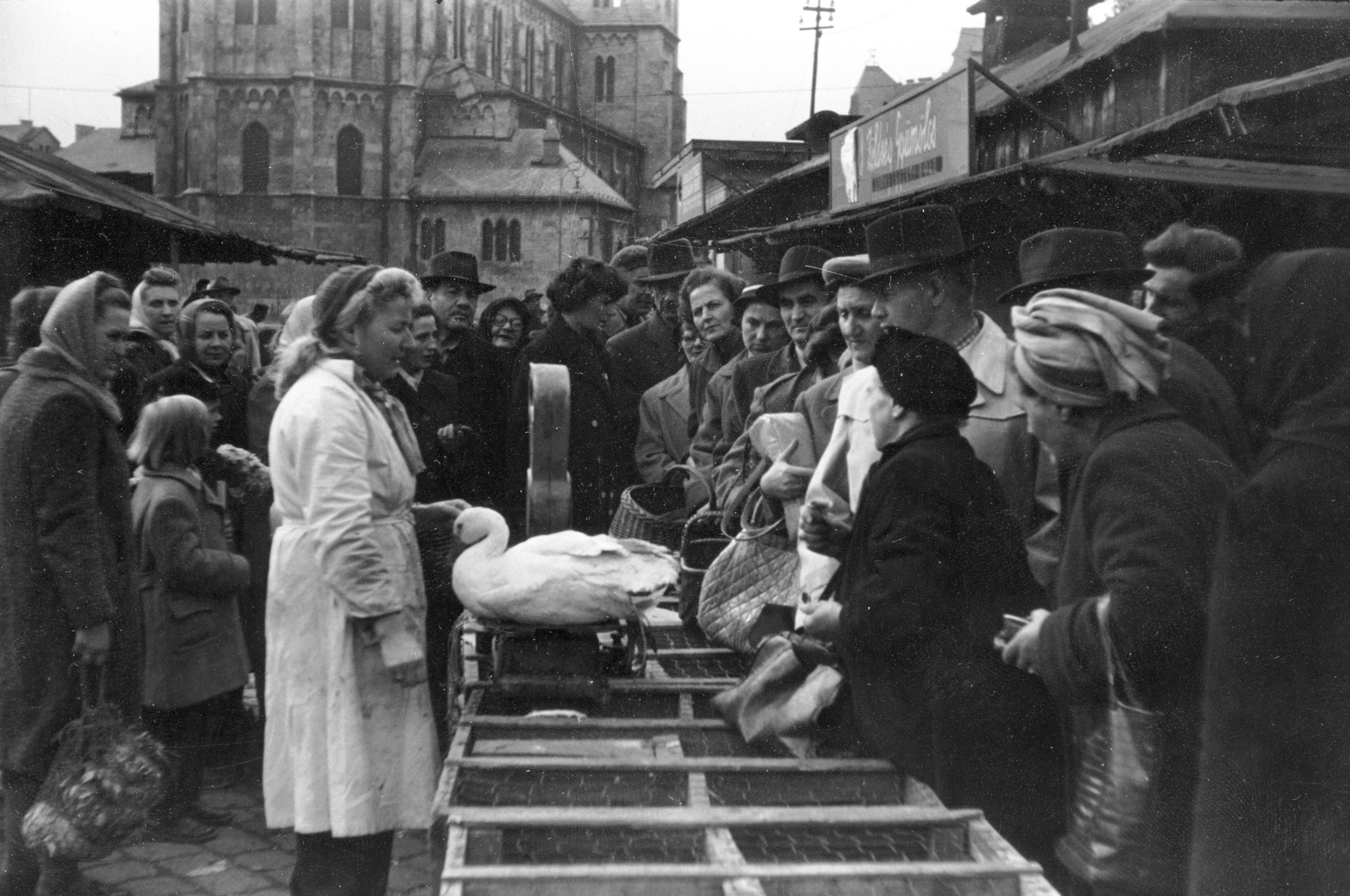 Hungary, Budapest XIII., Lehel (Élmunkás) téri piac, háttérben az Árpád-házi Szent Margit-templom., 1956, Juricza Tibor, church, revolution, market, poultry, goose, Budapest, Fortepan #26873