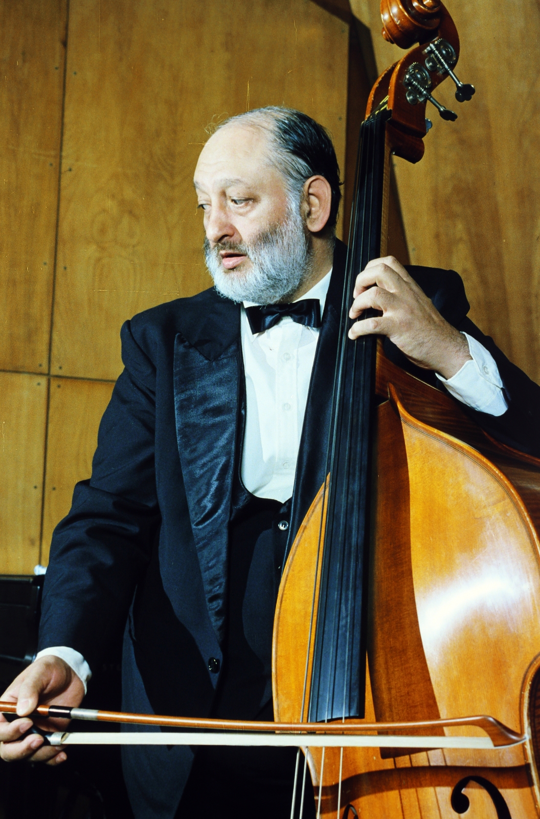 Hungary, Pege Aladár nagybőgőművész., 1986, Kanyó Béla, double bass, jazz history, Fortepan #269004