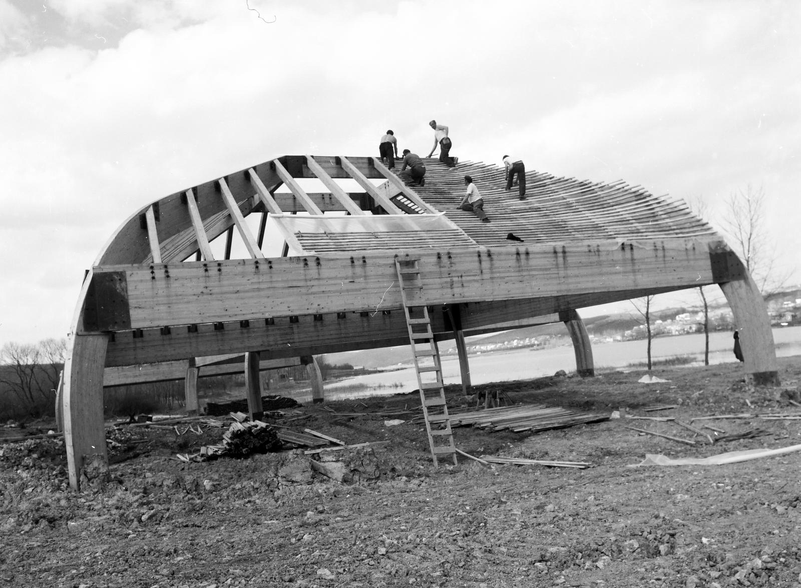 Hungary, Orfű, strand., 1984, Kanyó Béla, contraption, ladder, Fortepan #269405