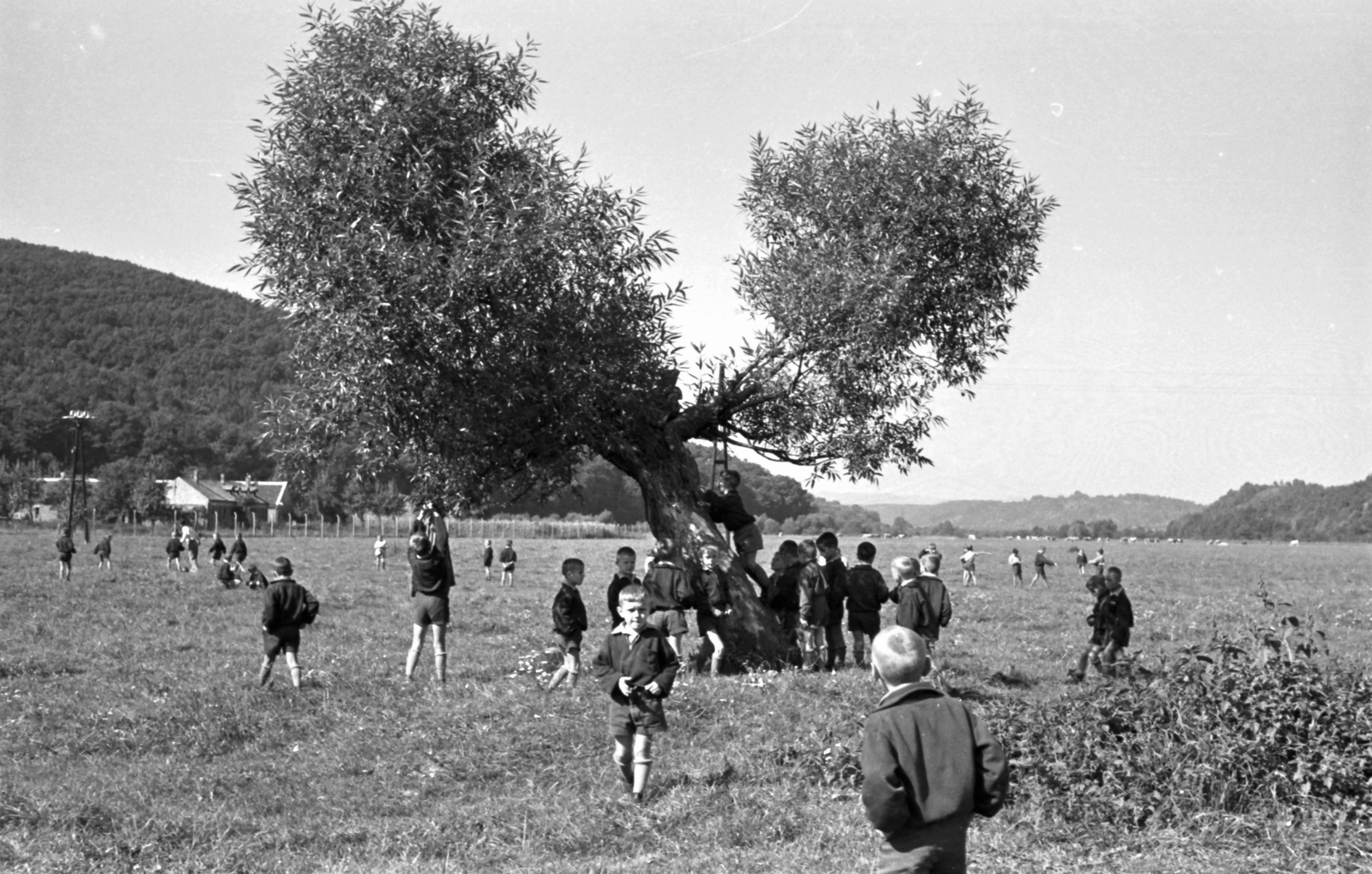 Hungary, Kőszeg, Andalgói rét., 1957, Baráth Endre, kids, Fortepan #26946