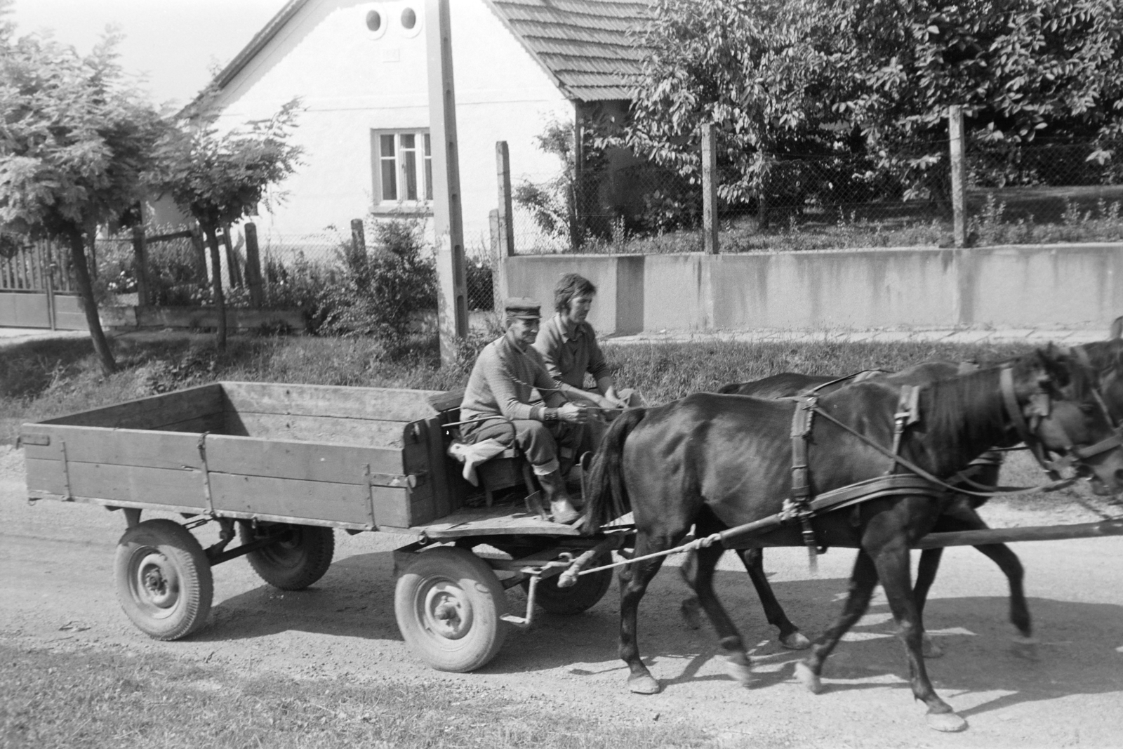 Magyarország, Tarcal, 1974, Leskó Imre, lovaskocsi, Fortepan #269802