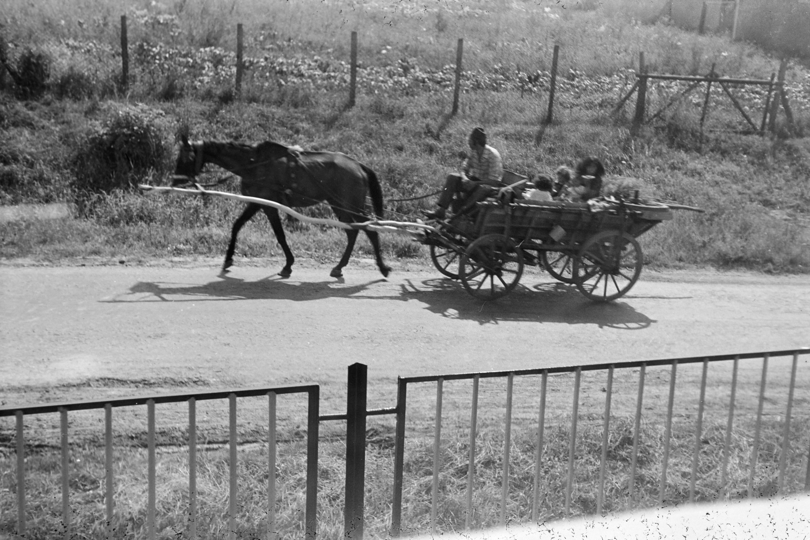 Magyarország, Tarcal, 1976, Leskó Imre, szekér, Fortepan #269838