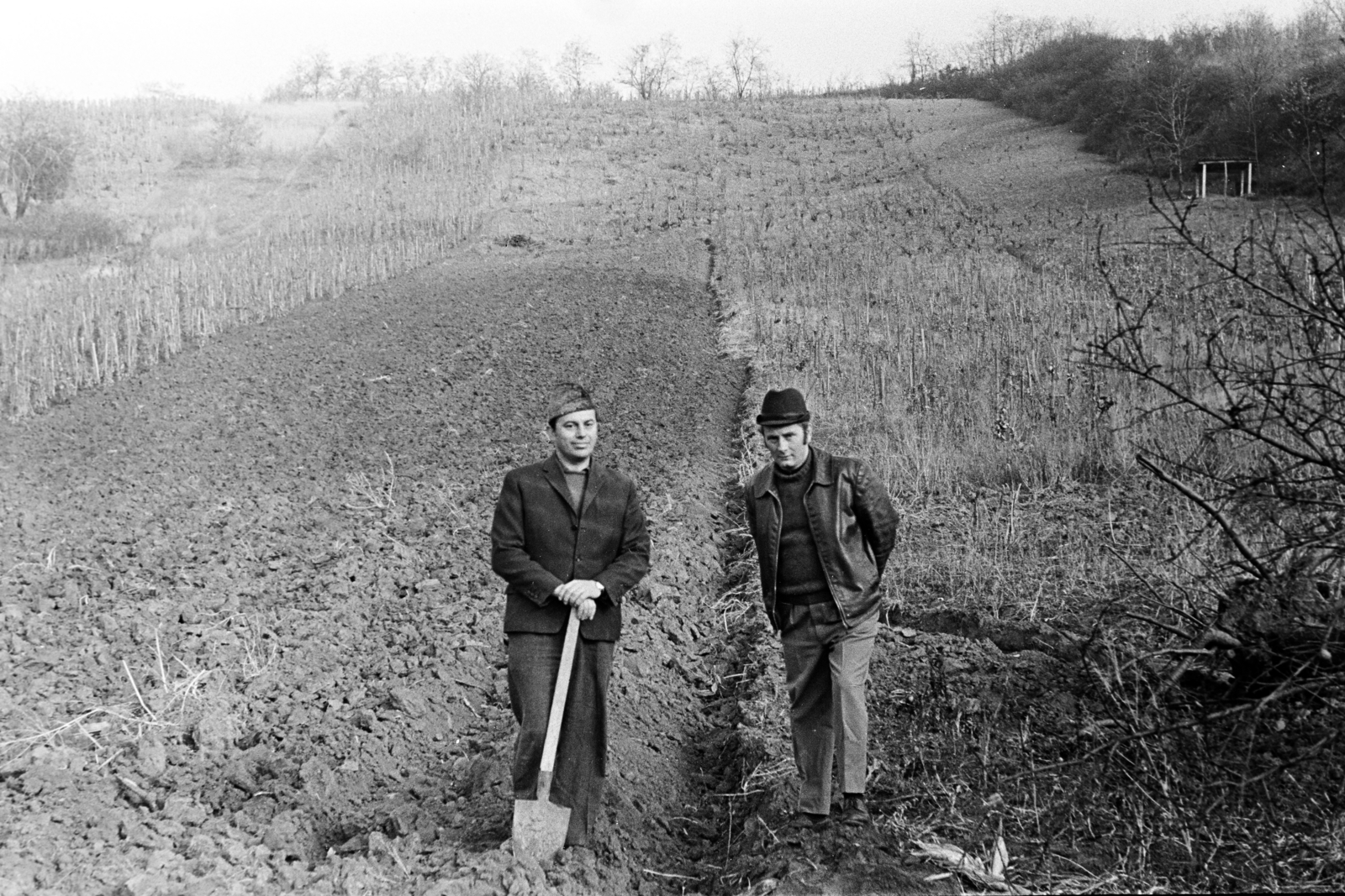 Magyarország, Tarcal, a felvétel a település határában készült., 1975, Leskó Imre, ásó, földművelés, Best of, Fortepan #269868
