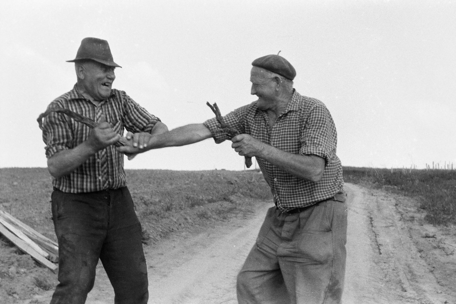 Hungary, Tarcal, a felvétel a település határában készült., 1976, Leskó Imre, Best of, jesting, plaid shirt, rolled up sleeves, old person, fight, Fortepan #269877
