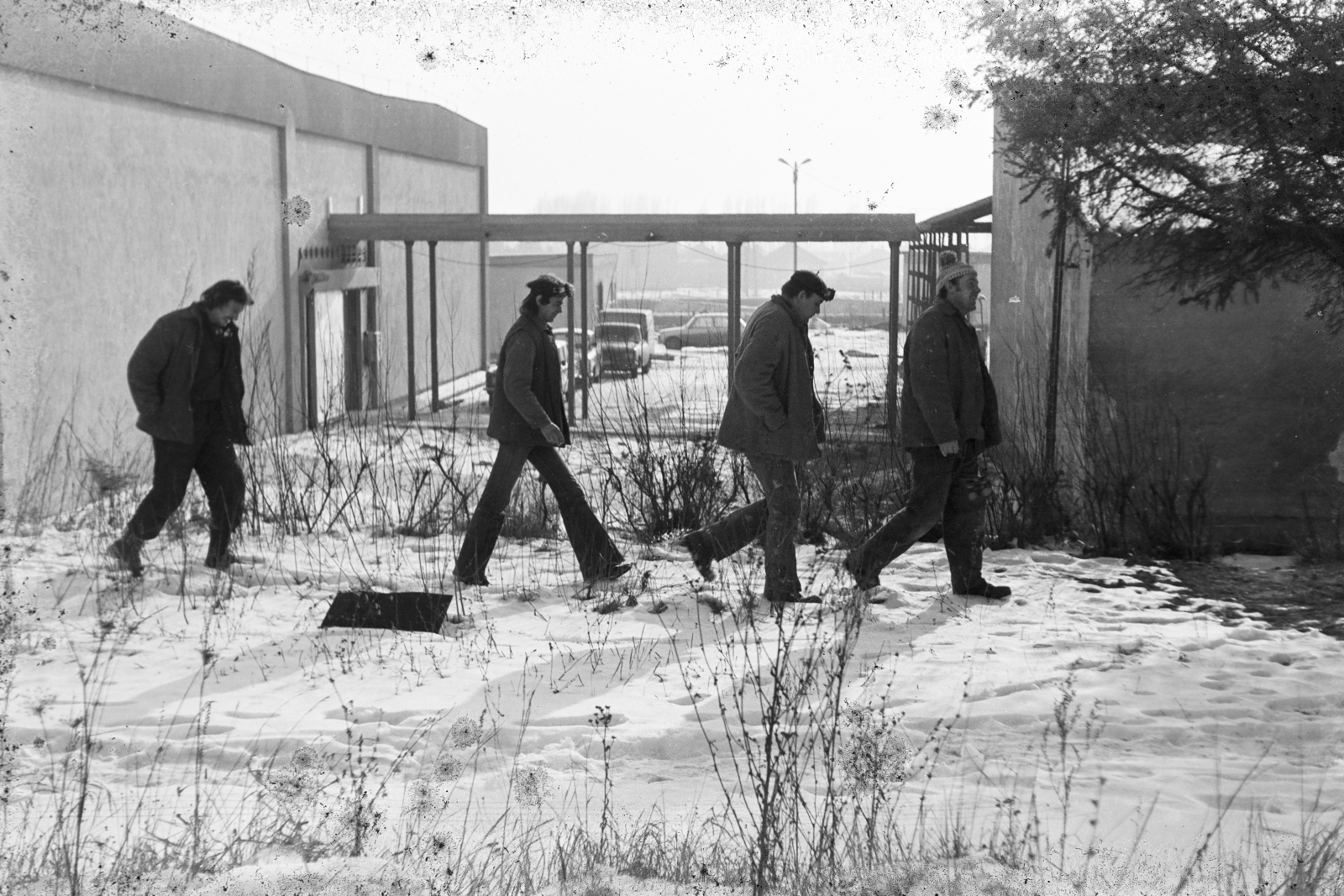 Magyarország, Tarcal, 1978, Leskó Imre, hó, tél, Fortepan #269894