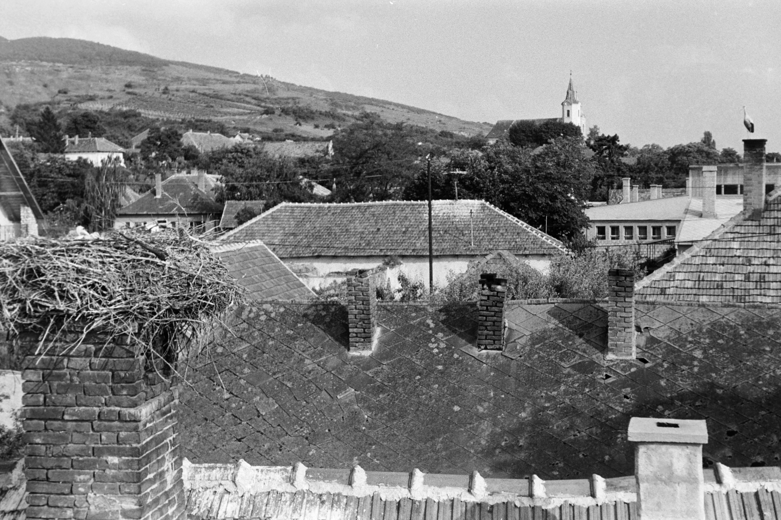 Hungary, Tarcal, szemben az Urunk Mennybemenetele-templom., 1981, Leskó Imre, stork, stork nest, Fortepan #269906