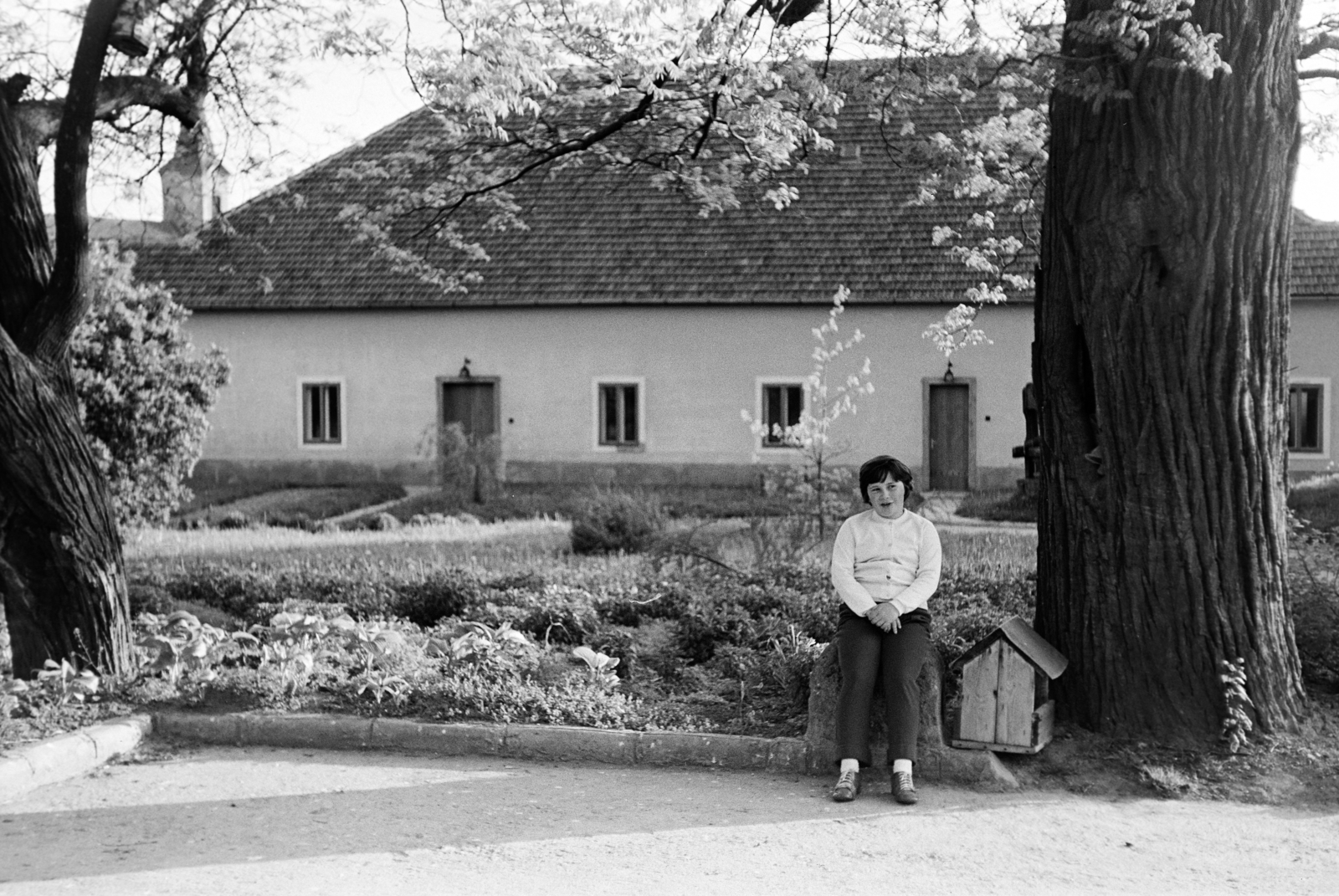 1975, Leskó Imre, building, Fortepan #269922