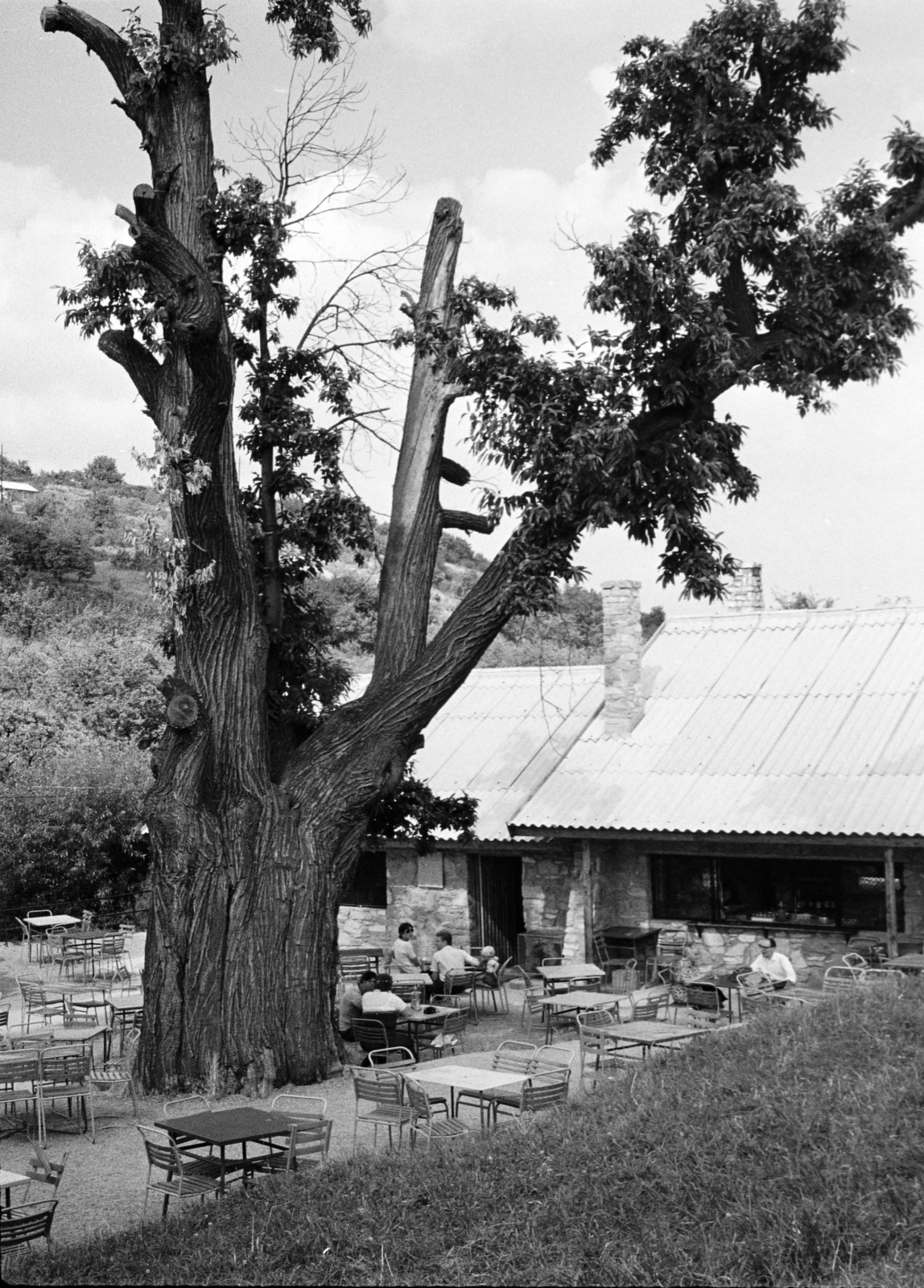 Hungary, Kőszeg, Királyvölgy., 1971, Vozárik Edit, Fortepan #270076