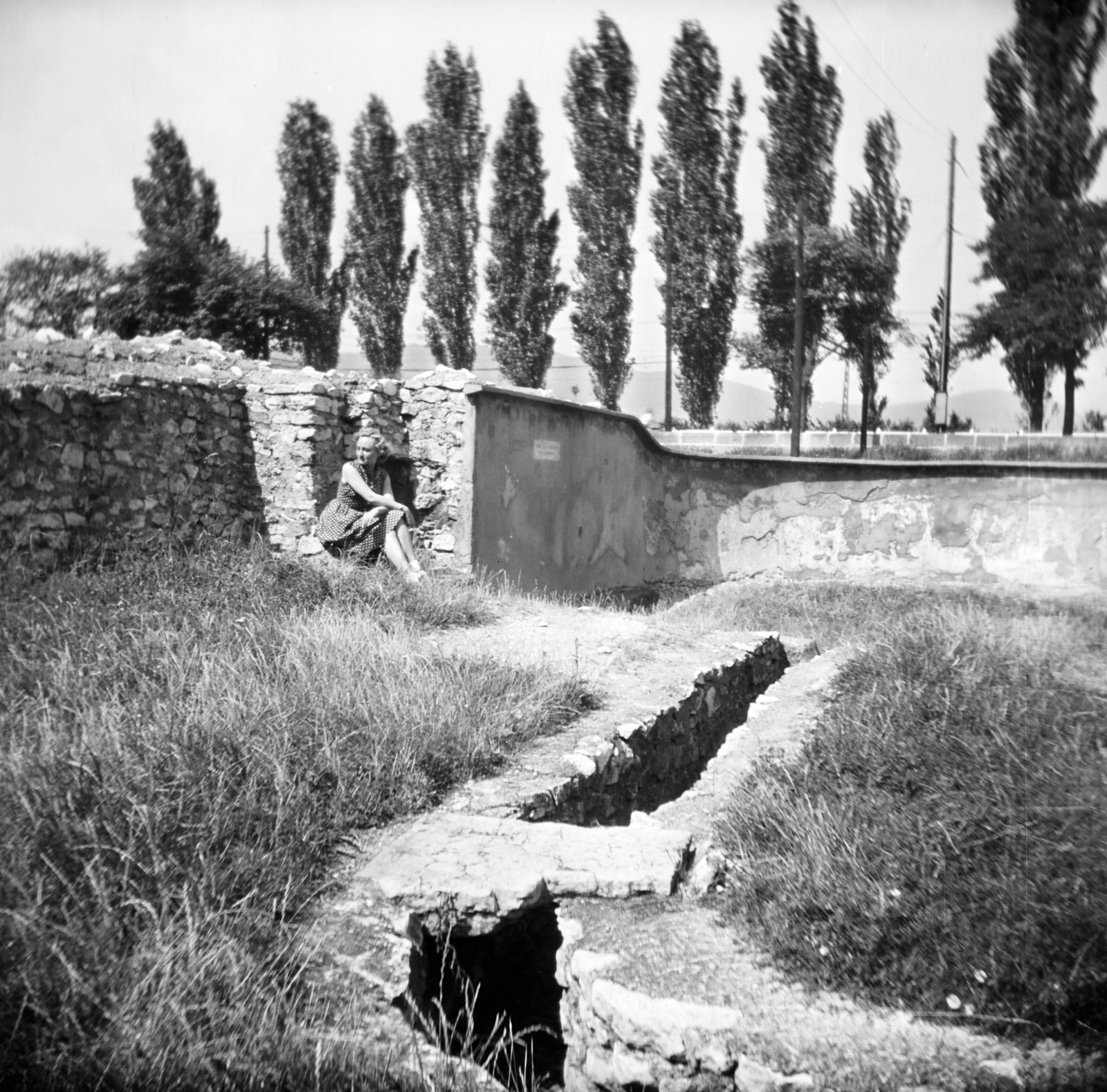 Hungary, Aquincum, Budapest III., a felvétel a romkertben készült, háttérben a szentendrei HÉV., 1955, Vozárik Edit, lady, fir trees, ruins, dotted dress, sitting, Budapest, Fortepan #270102