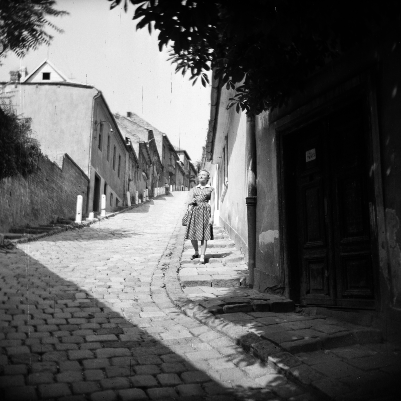 Magyarország, Budapest II., Gül Baba utca., 1959, Vozárik Edit, Budapest, utcakép, lakóház, lejtő, lépcső, Fortepan #270174