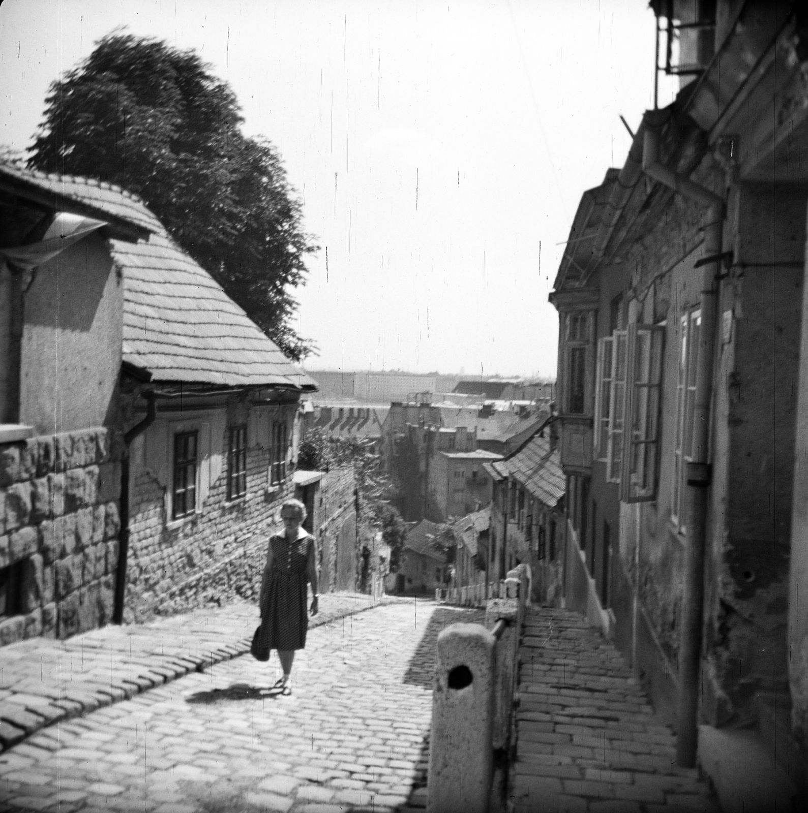 Magyarország, Budapest II., Gül Baba utca., 1959, Vozárik Edit, Budapest, lejtő, Fortepan #270176