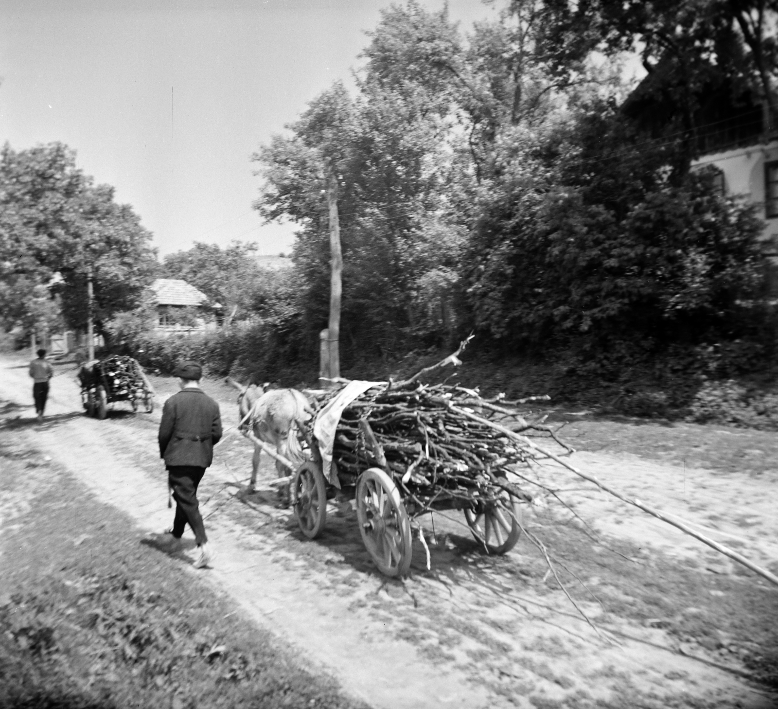 Romania,Transylvania, 1963, Vozárik Edit, dirt road, chariot, Fortepan #270198