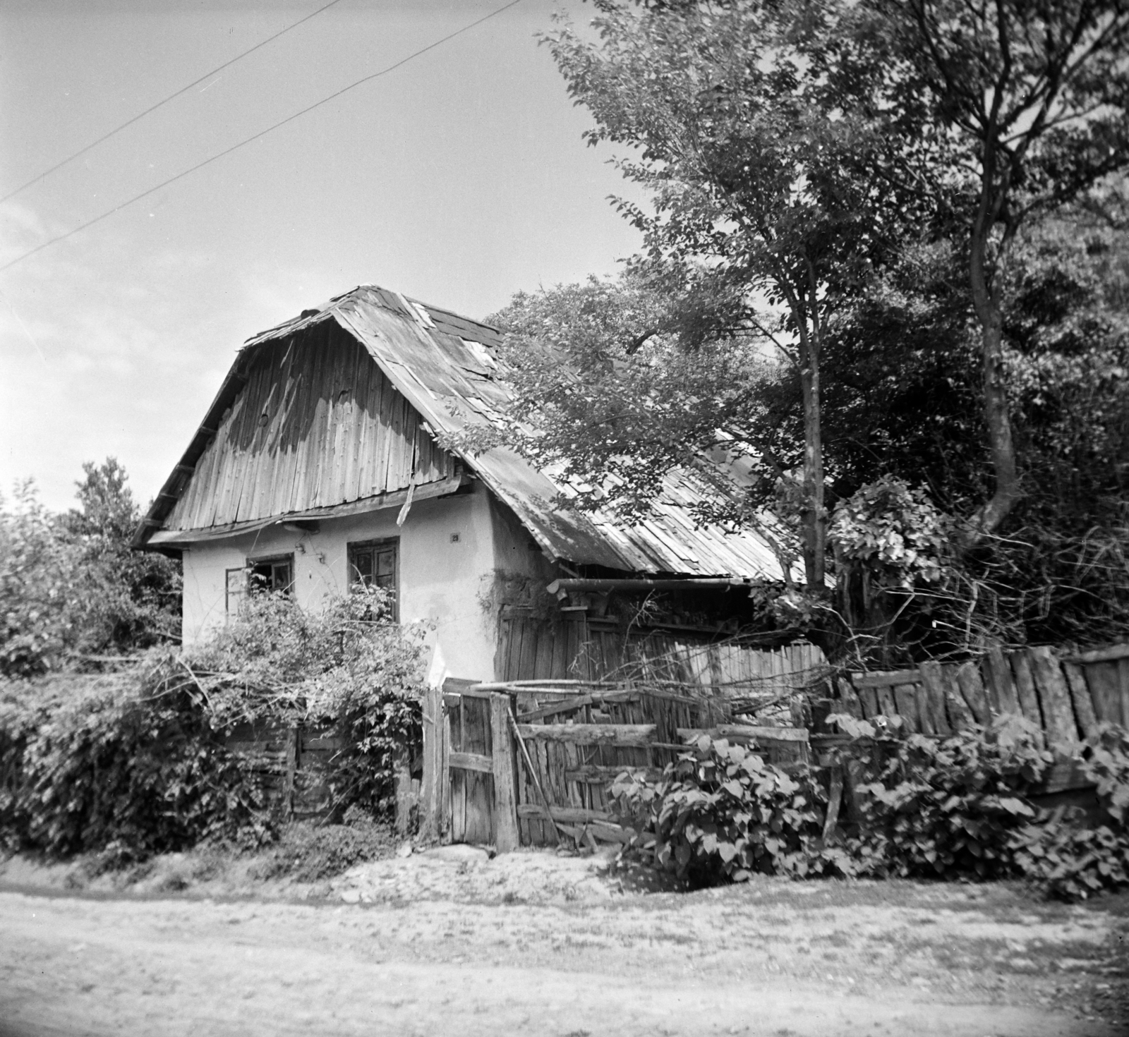 Romania,Transylvania, 1963, Vozárik Edit, fence, board, farmhouse, Fortepan #270204