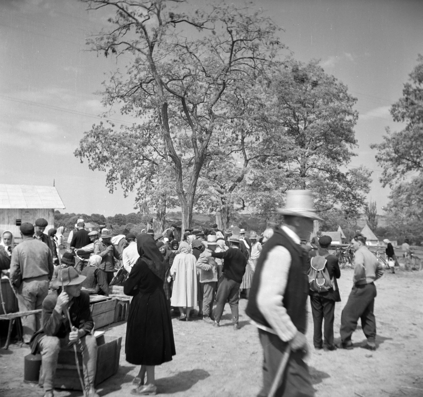 Romania,Transylvania, 1963, Vozárik Edit, Fortepan #270294