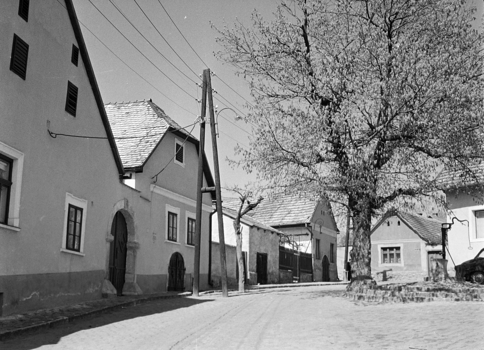 Hungary, Szentendre, Rab Ráby tér, balra Rab Ráby háza., 1968, Vozárik Edit, Fortepan #270466