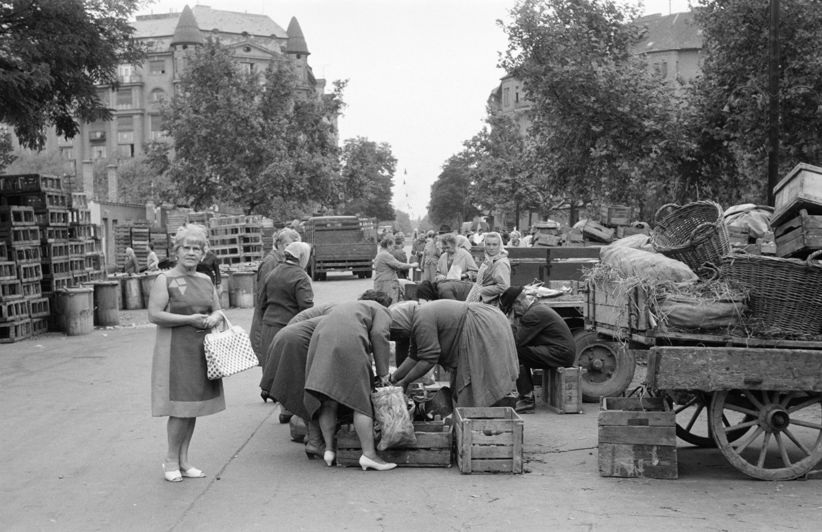 Hungary, Budapest XIII., Lehel (Élmunkás) téri piac, háttérben a Bulcsú utca - Kassák Lajos utca (Fóti út) sarkán álló házak., 1962, Ungváry Rudolf, market, costermonger, Budapest, Fortepan #270561