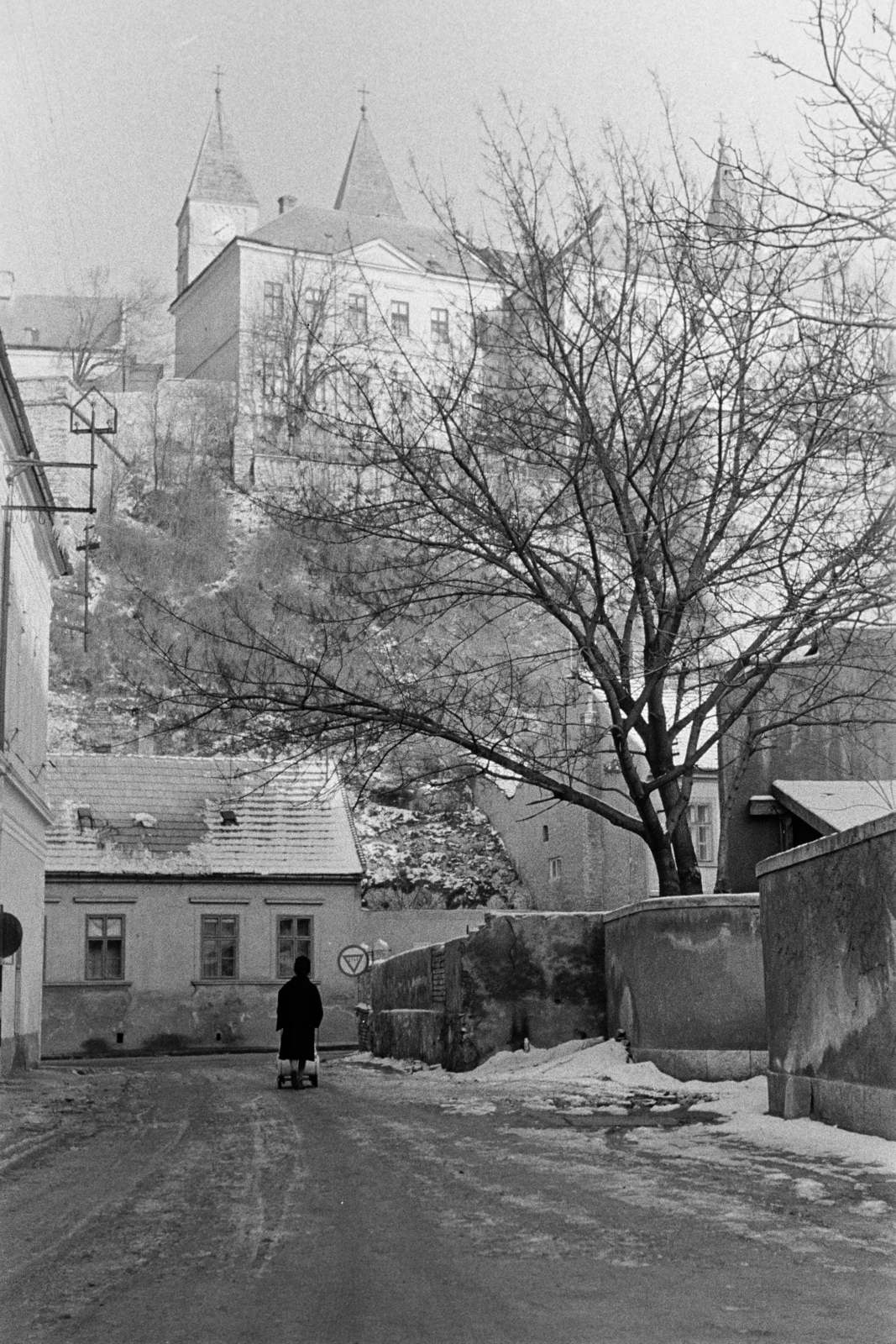 Hungary, Veszprém, Kittenberger Kálmán utca, szemben a Jókai Mór utca 40-es számú ház. Fenn a Várban a Szent Mihály-székesegyház tornyai. Jobbra a fa takarásában a Szent István király-templom tornya látható., 1972, Ungváry Rudolf, street view, Fortepan #270563