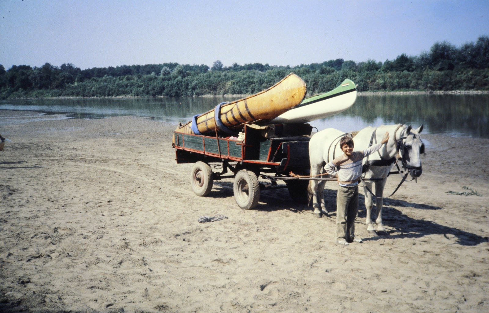 1984, Ungváry Rudolf, canoe, water sports, Horse-drawn carriage, colorful, Fortepan #270643