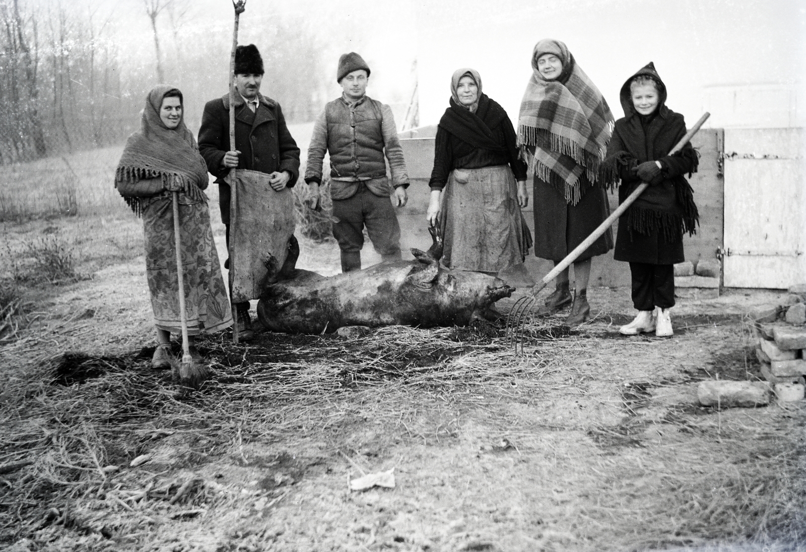 1936, Fodor András örökösei, pig slaughter, peasant, farmhouse, Fortepan #270748