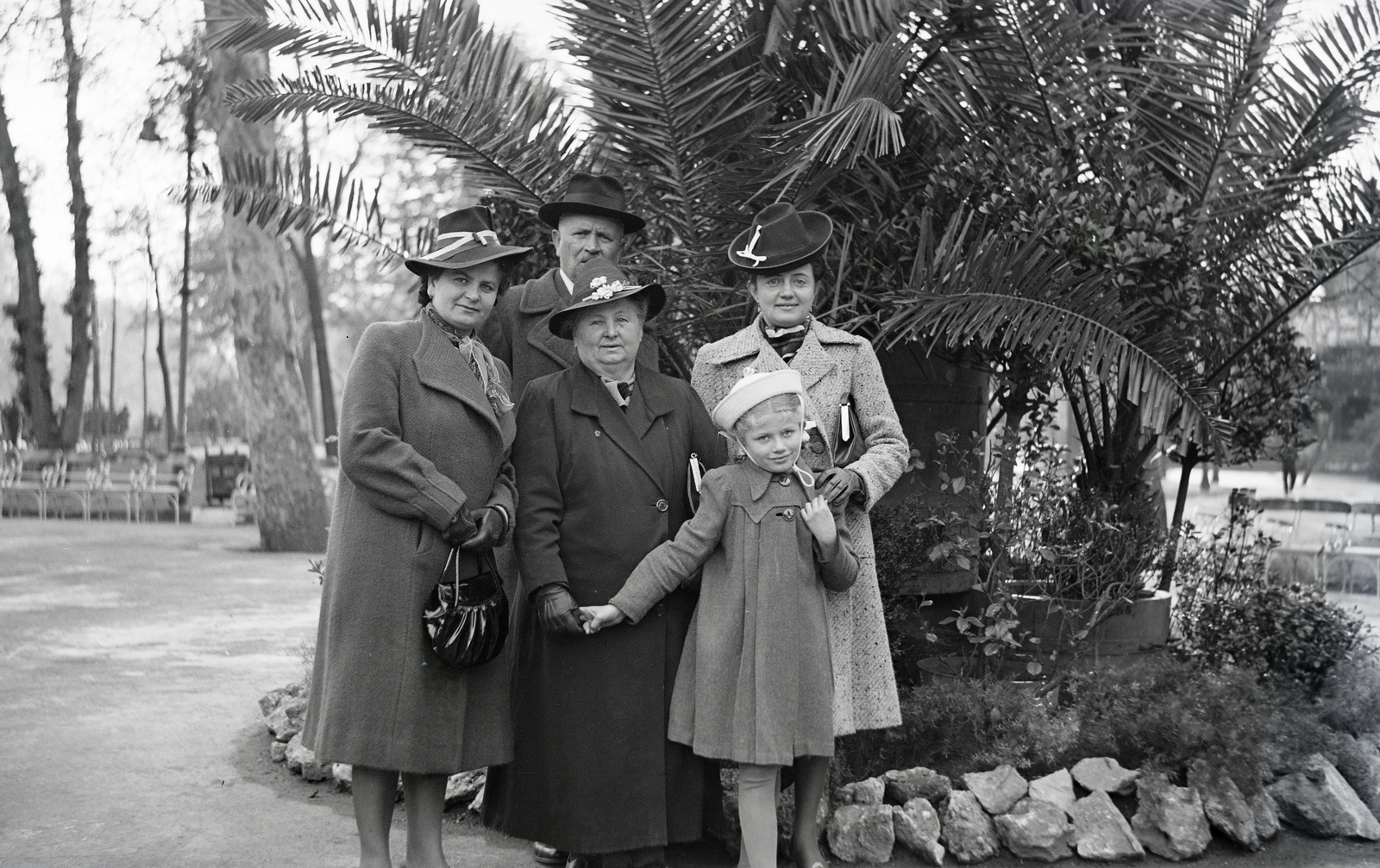 1936, Fodor András örökösei, pálmafa, kalap, család, Fortepan #270772