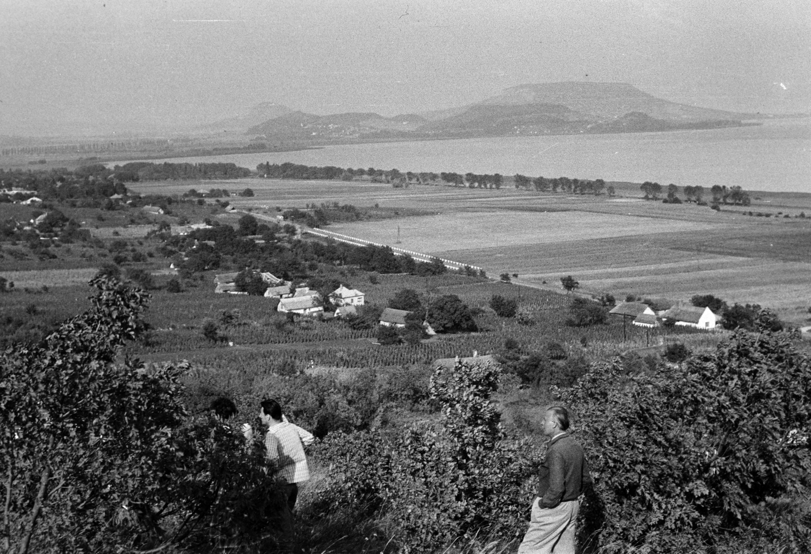 Hungary, Balatongyörök, Becehegy, Paphegyi út, kilátás a Szigligeti-öbölre, a háttérben Szigliget és a Badacsony., 1963, Fodor András örökösei, picture, excursion, Fortepan #270819