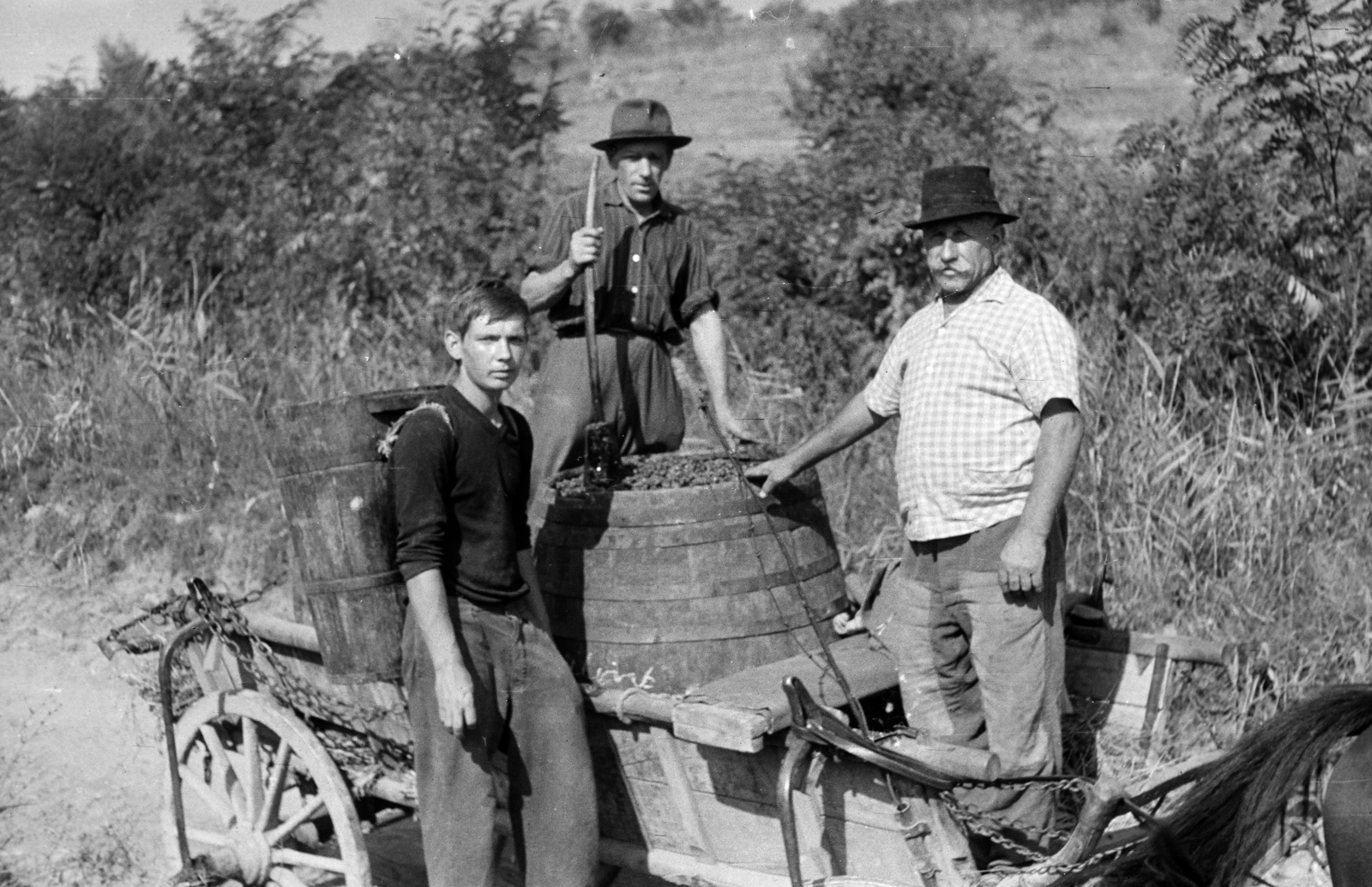 1963, Fodor András örökösei, chariot, harvest, wooden butte, Fortepan #270905