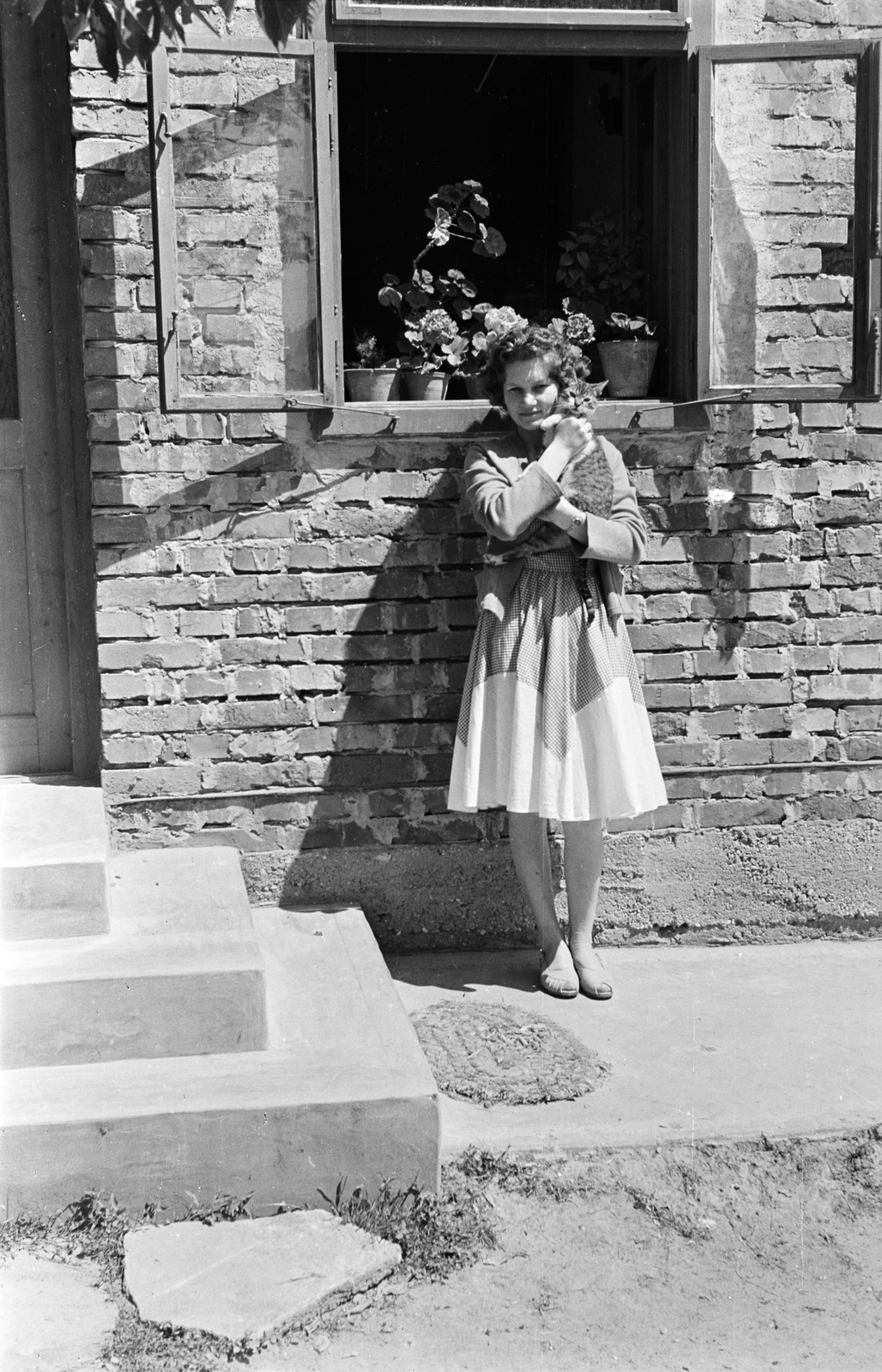 1957, Lipovits Károly, window, hold in arms, cat, Fortepan #271097