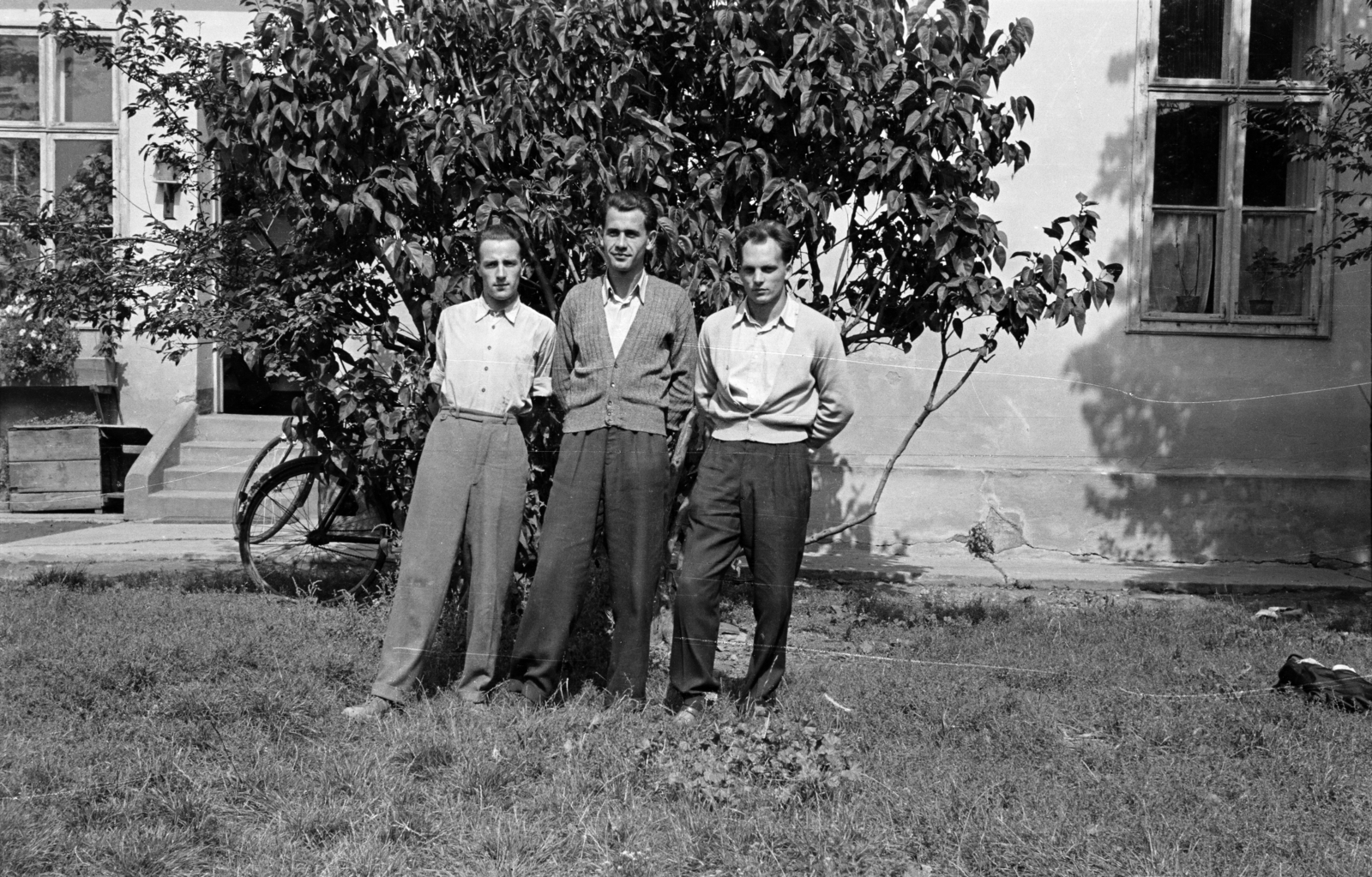 1959, Lipovits Károly, férfiak, hátratett kéz, kardigán, hárman, Fortepan #271106