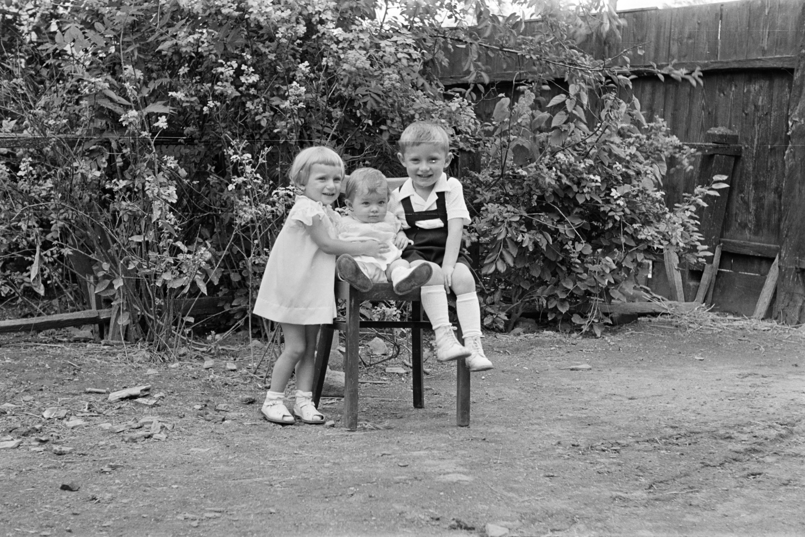 1958, Lipovits Károly, kids, brothers, three people, Fortepan #271181