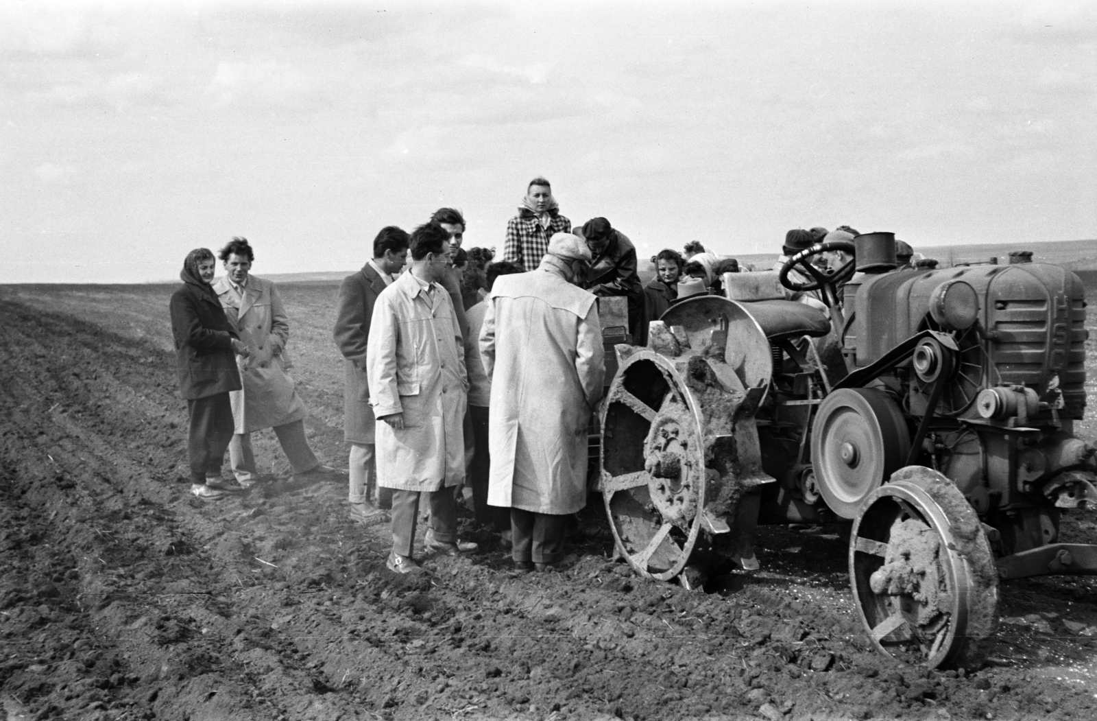 1957, Lipovits Károly, tractor, Fortepan #271230