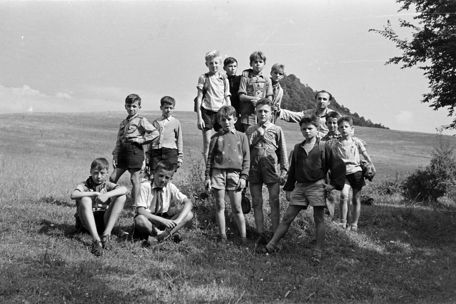 Magyarország, Salgótarján, Salgópuszta környéke, a háttérben a vulkáni csúcson álló Salgó vára., 1959, Lipovits Károly, Best of, Fortepan #271245