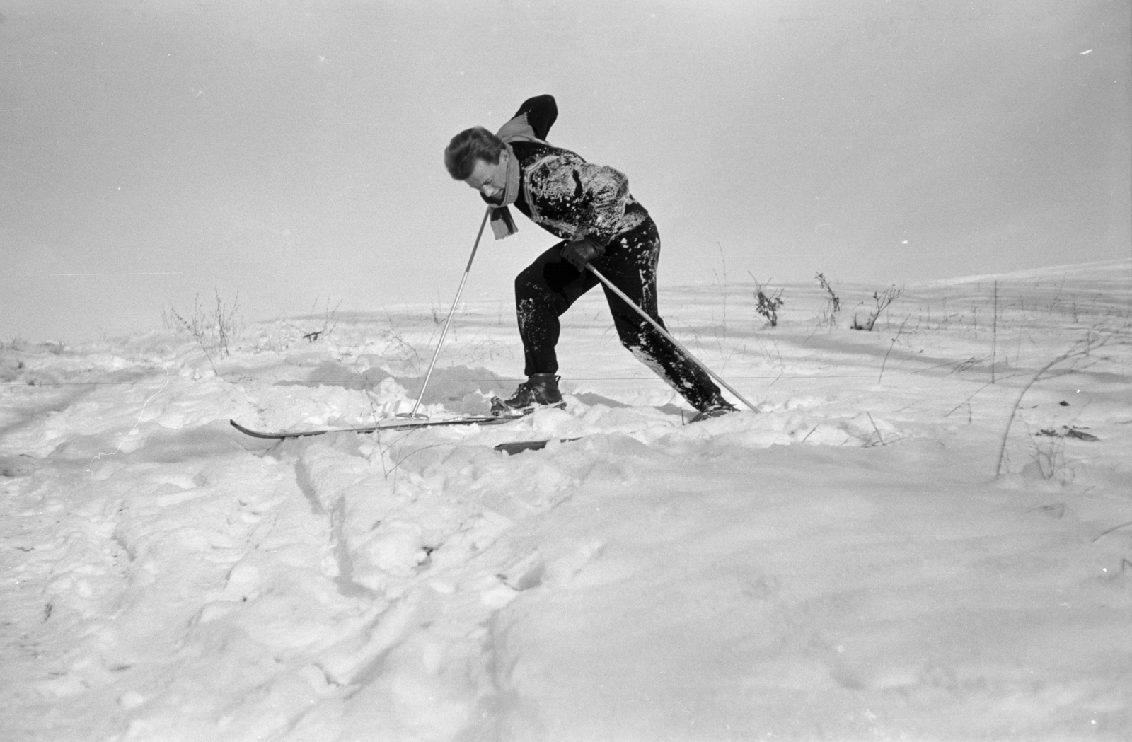 1956, Lipovits Károly, skiing, Fortepan #271329
