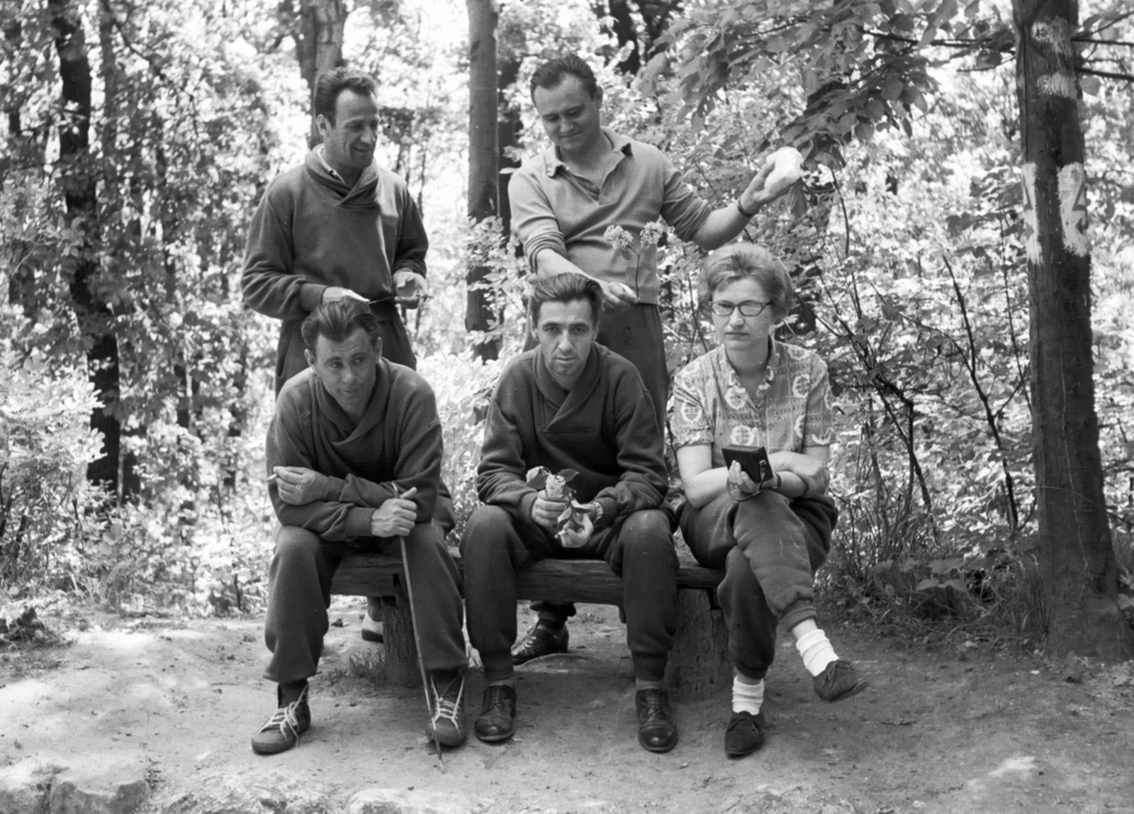 1965, Drimbe József, woods, cigarette, smoking, tableau, sweater, portable radio, Fortepan #27145