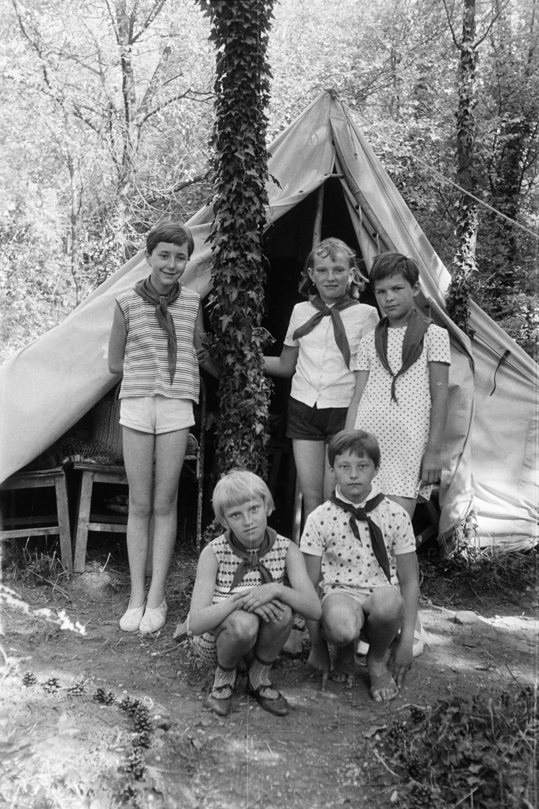 1969, Lipovits Károly, Young Pioneer camp, tent, Fortepan #271499