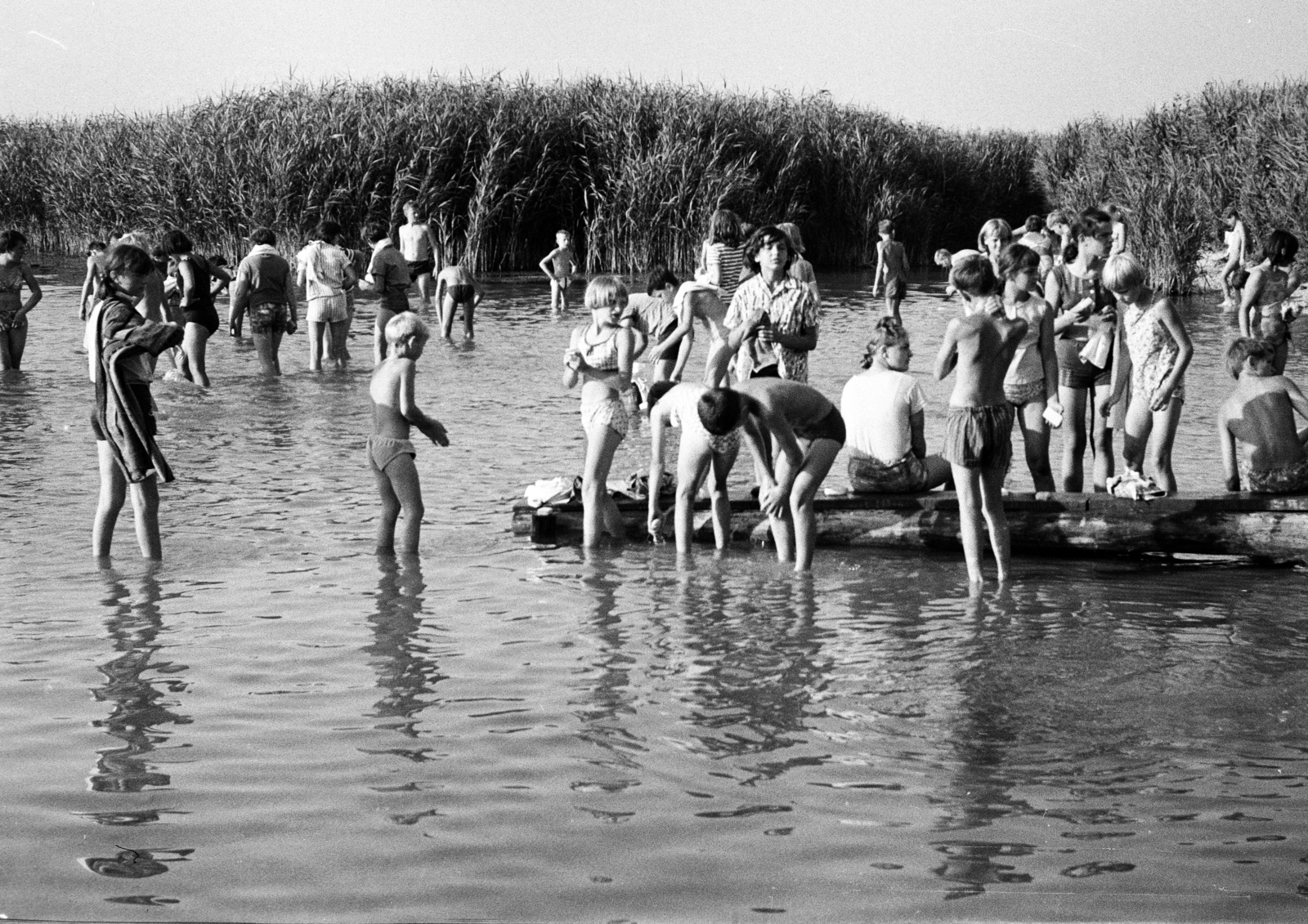 1967, Lipovits Károly, Fortepan #271619