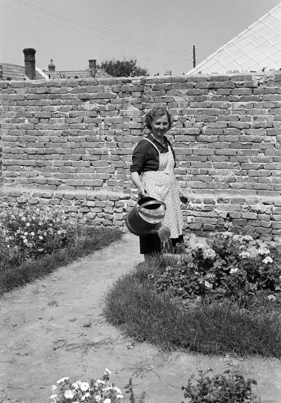 1960, Lipovits Károly, watering, flower bed, lady, Fortepan #271630