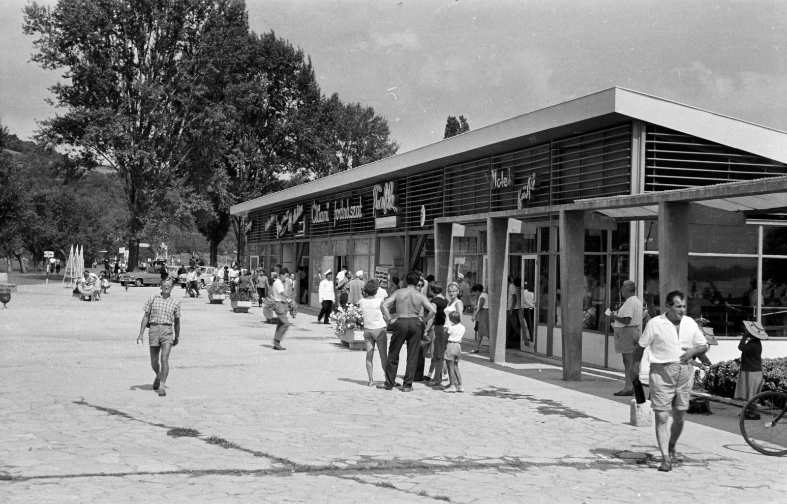 1965, Lipovits Károly, fodrászat, Fortepan #271906