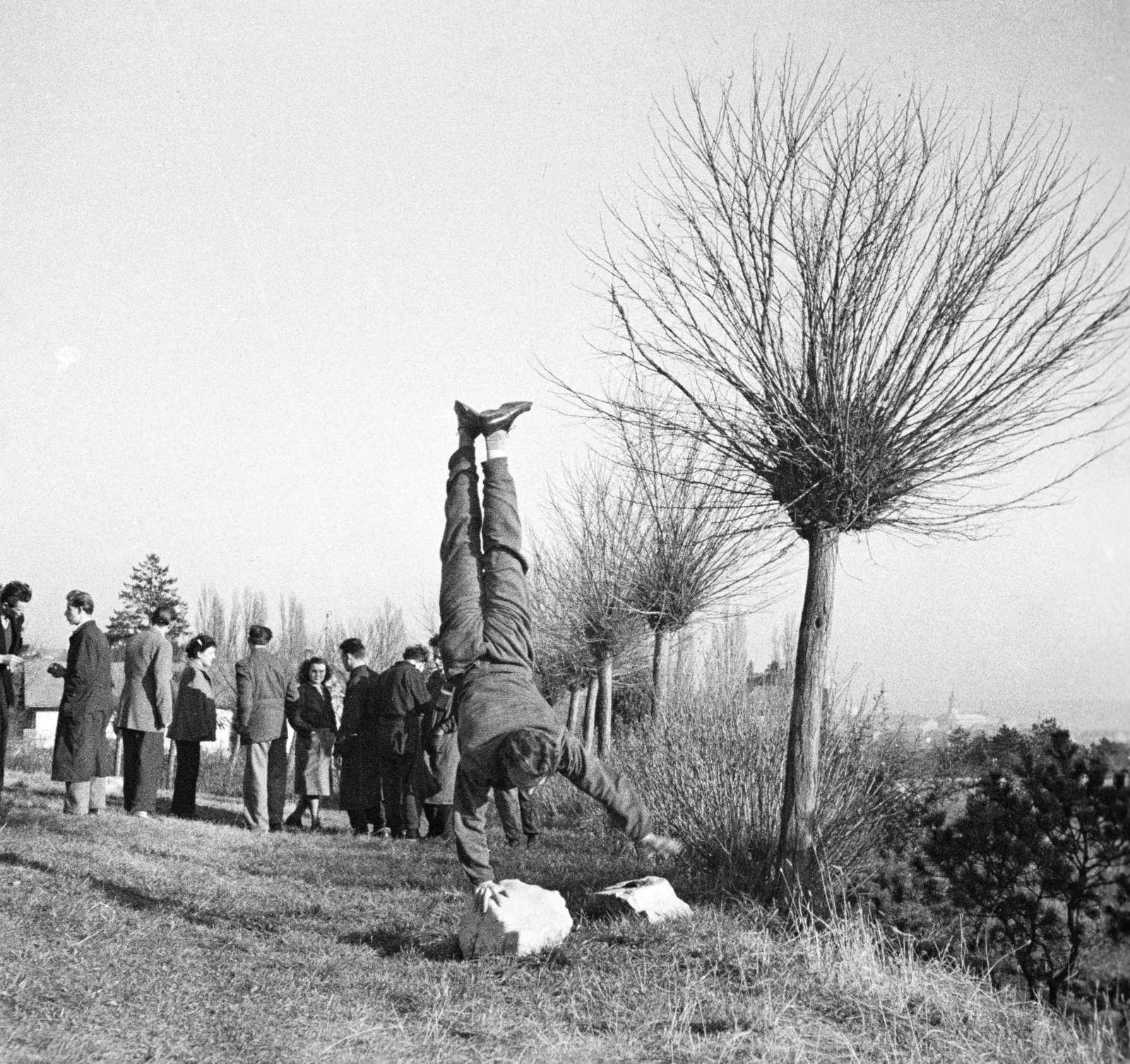 Hungary, Pécs, a felvétel a Pedagógiai Főiskola (később Pécsi Tudományegyetem) botanikus kertjében készült., 1958, Lipovits Károly, feat, handstand, Fortepan #271925