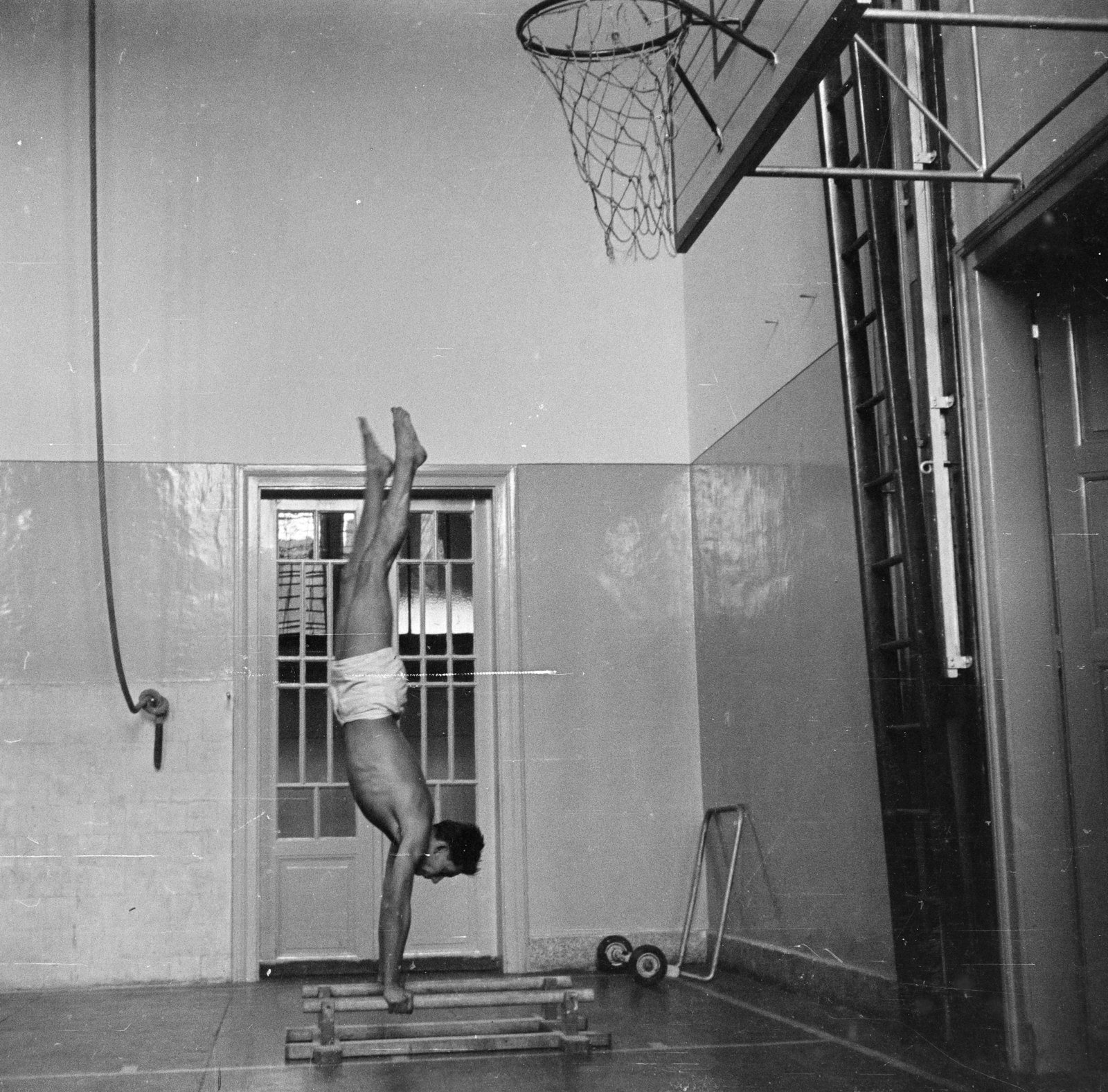 1956, Lipovits Károly, feat, handstand, gym, basketball hoop, Fortepan #271966