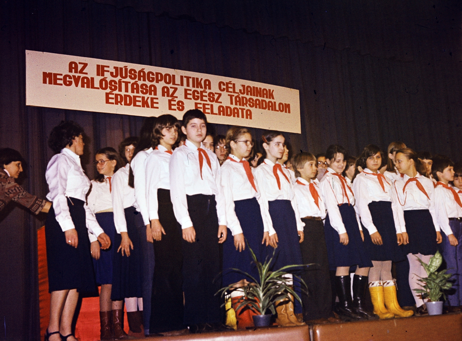 1979, Cseriti, úttörő, Fortepan #272305
