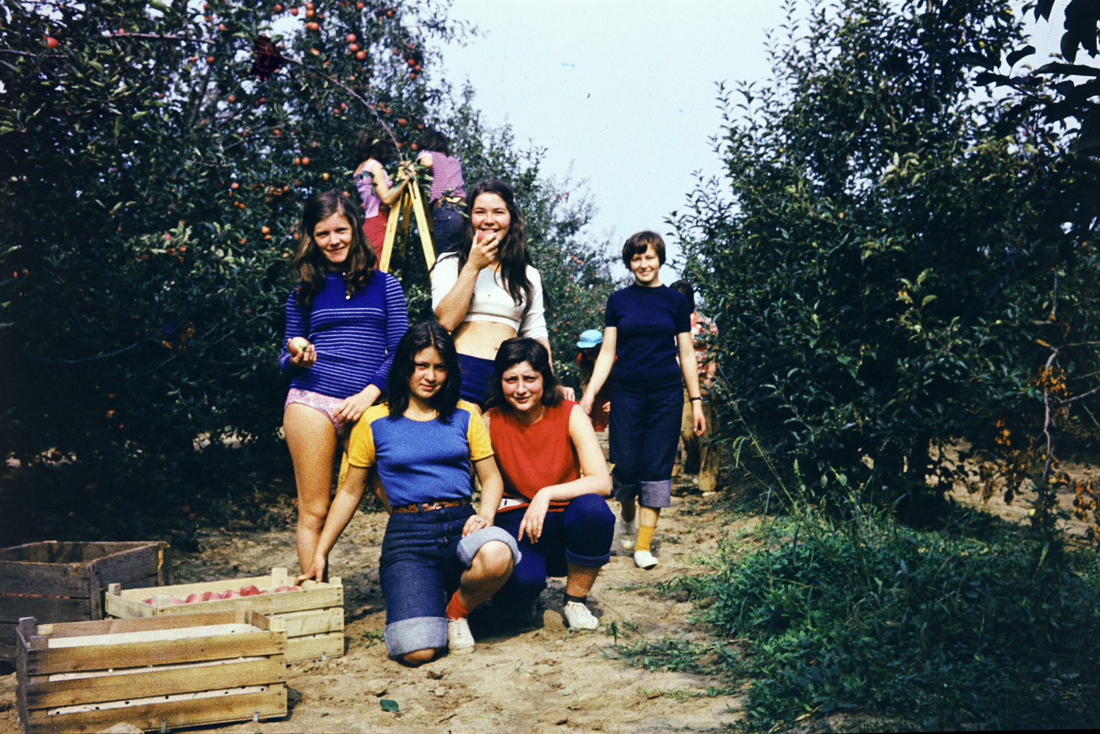 1975, Darányi Zsolt, fun, chest, fruit picking, girls, colorful, Fortepan #272319