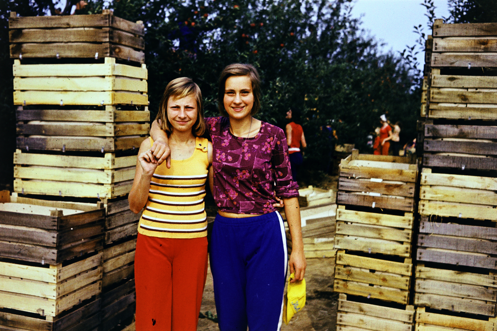 1975, Darányi Zsolt, építőtábor, karok a vállon, Fortepan #272346