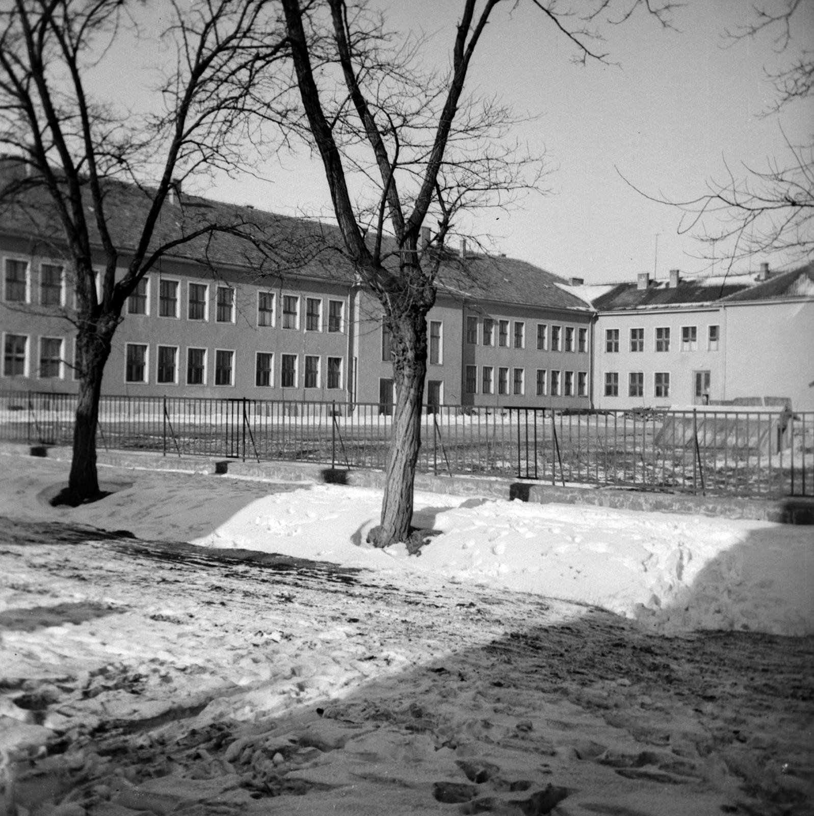 Magyarország, Celldömölk, Nagy Sándor tér 13., a Celldömölki Berzsenyi Dániel Gimnázium (CBG) udvara., 1965, Dervarits Diána és Póth Attila, Fortepan #272366